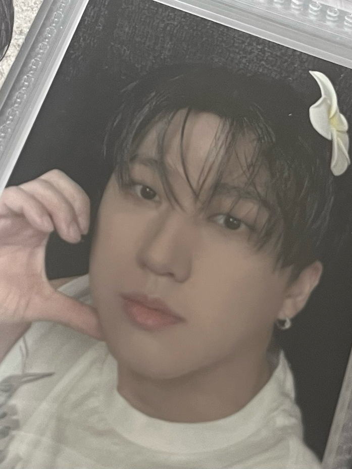 貌美彬尼花花卡（50）