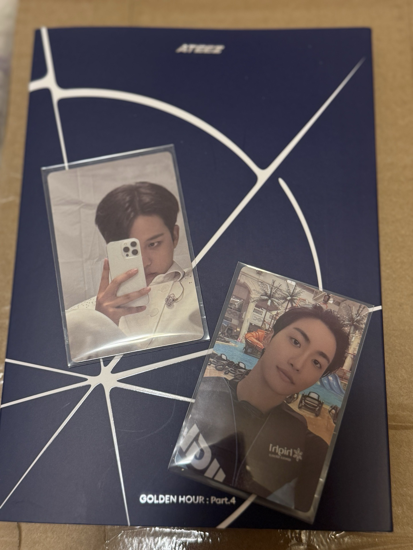 你是否曾經在泳池裡救過一隻熊？