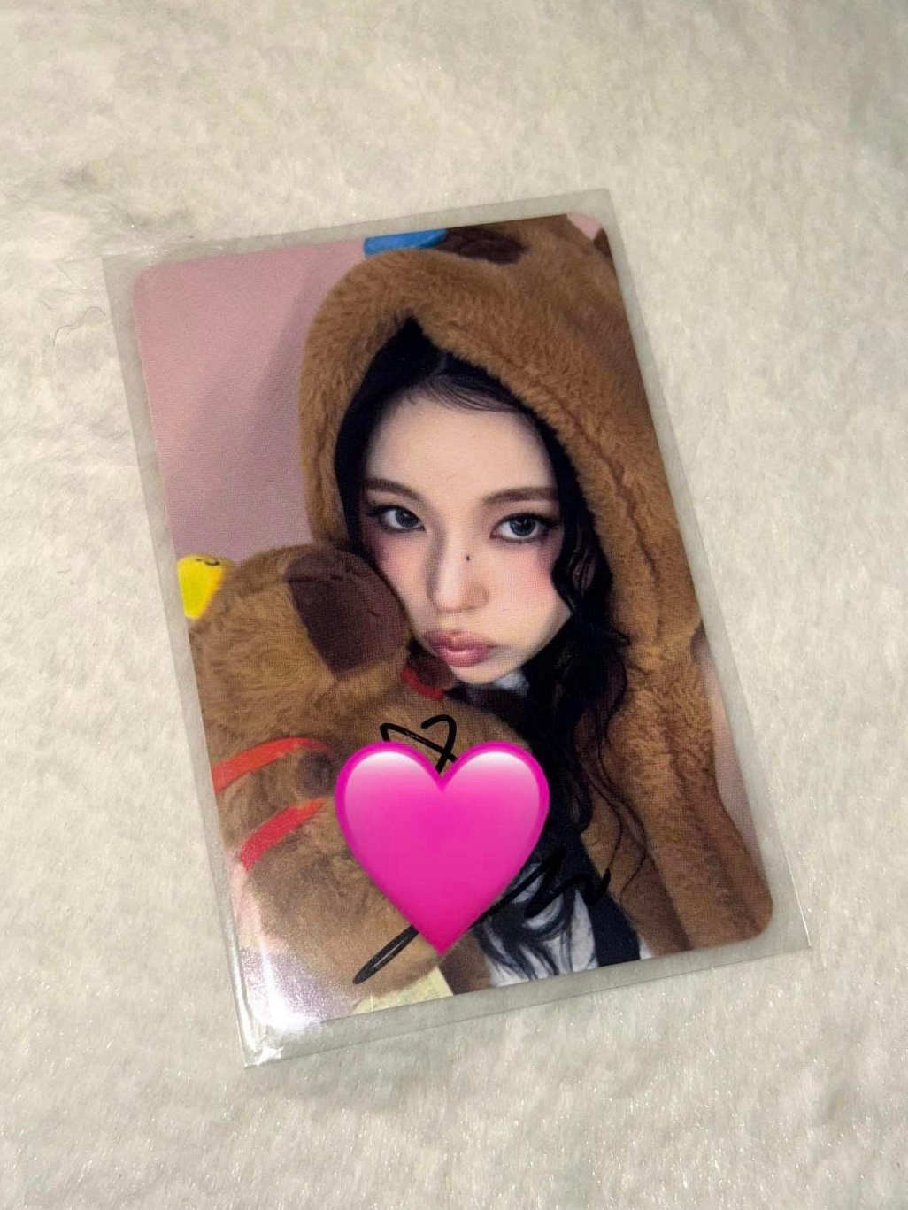 卡皮巴拉親簽圭