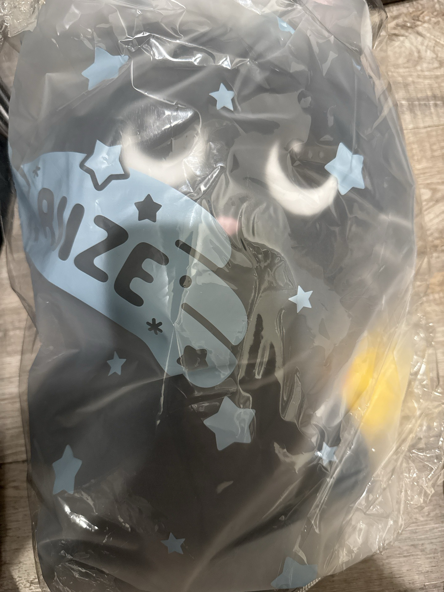 RIIe全新40公分兔貓鴨 朴元彬