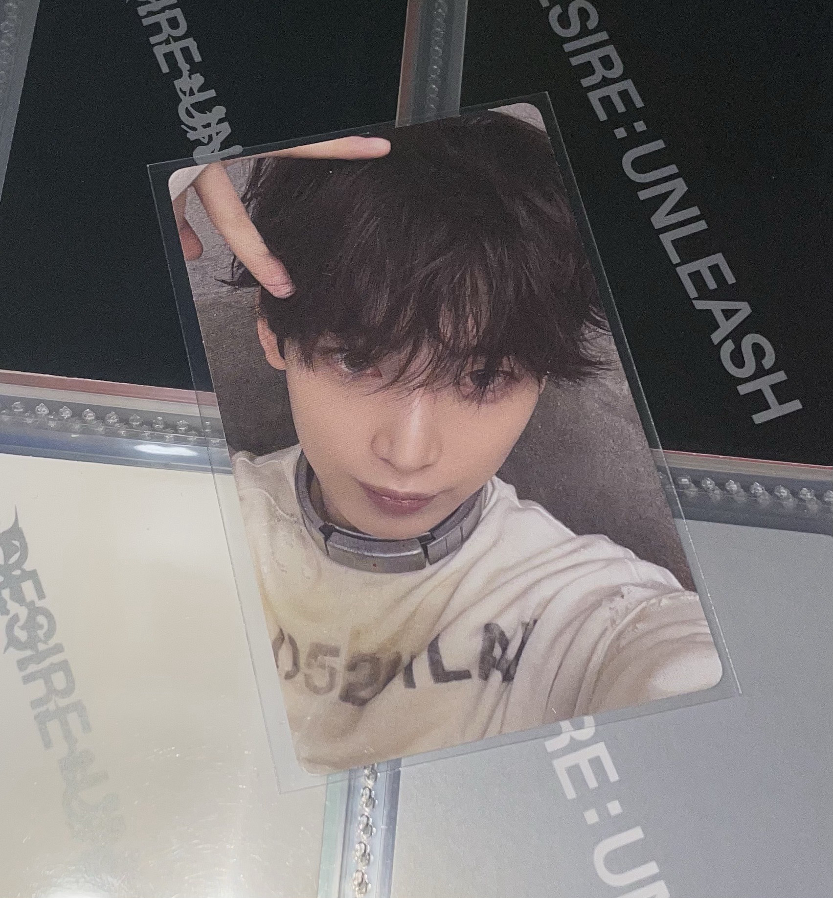 善禹 迷六電子專隨機卡