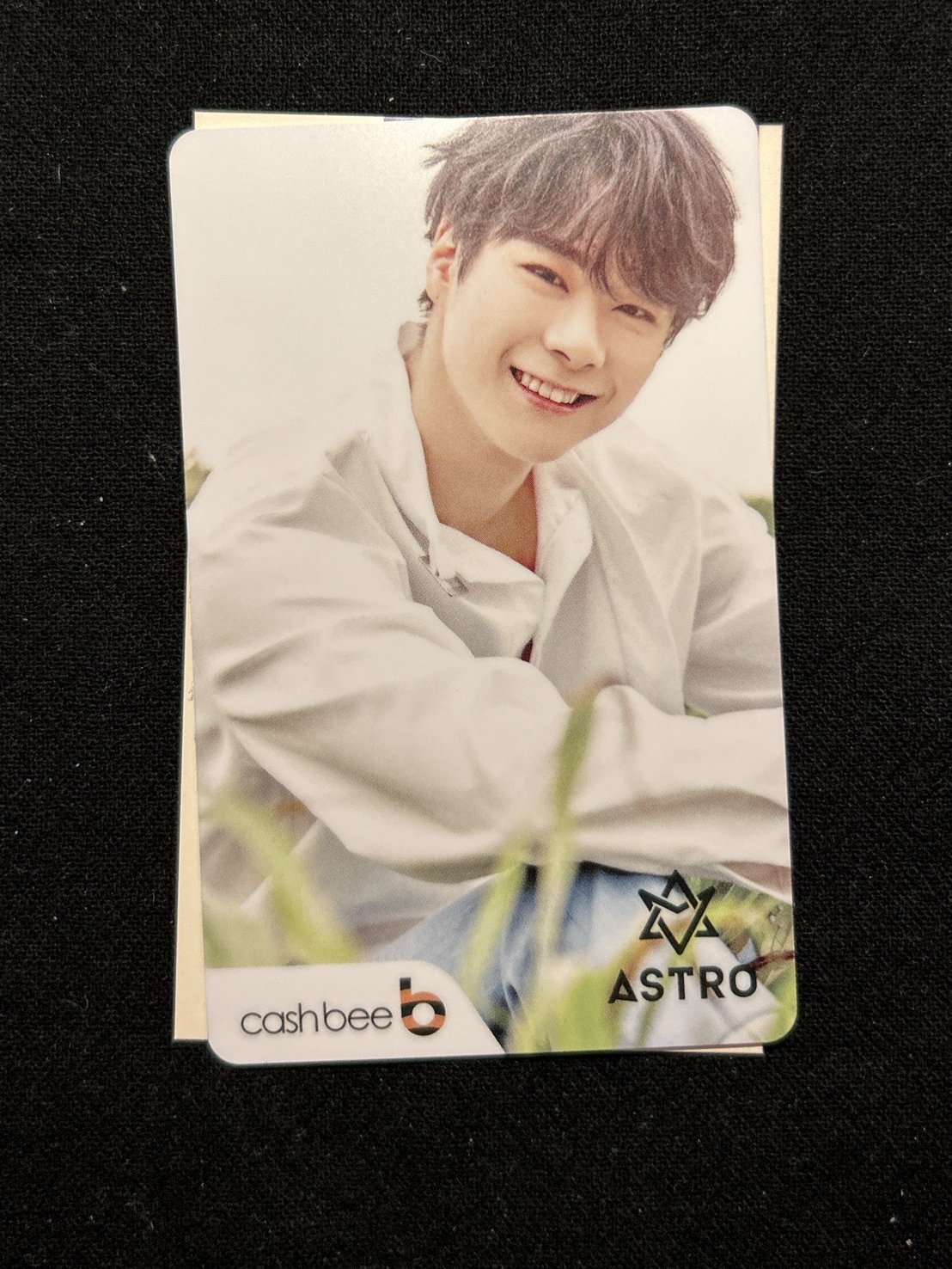 文彬 cash bee 交通卡 