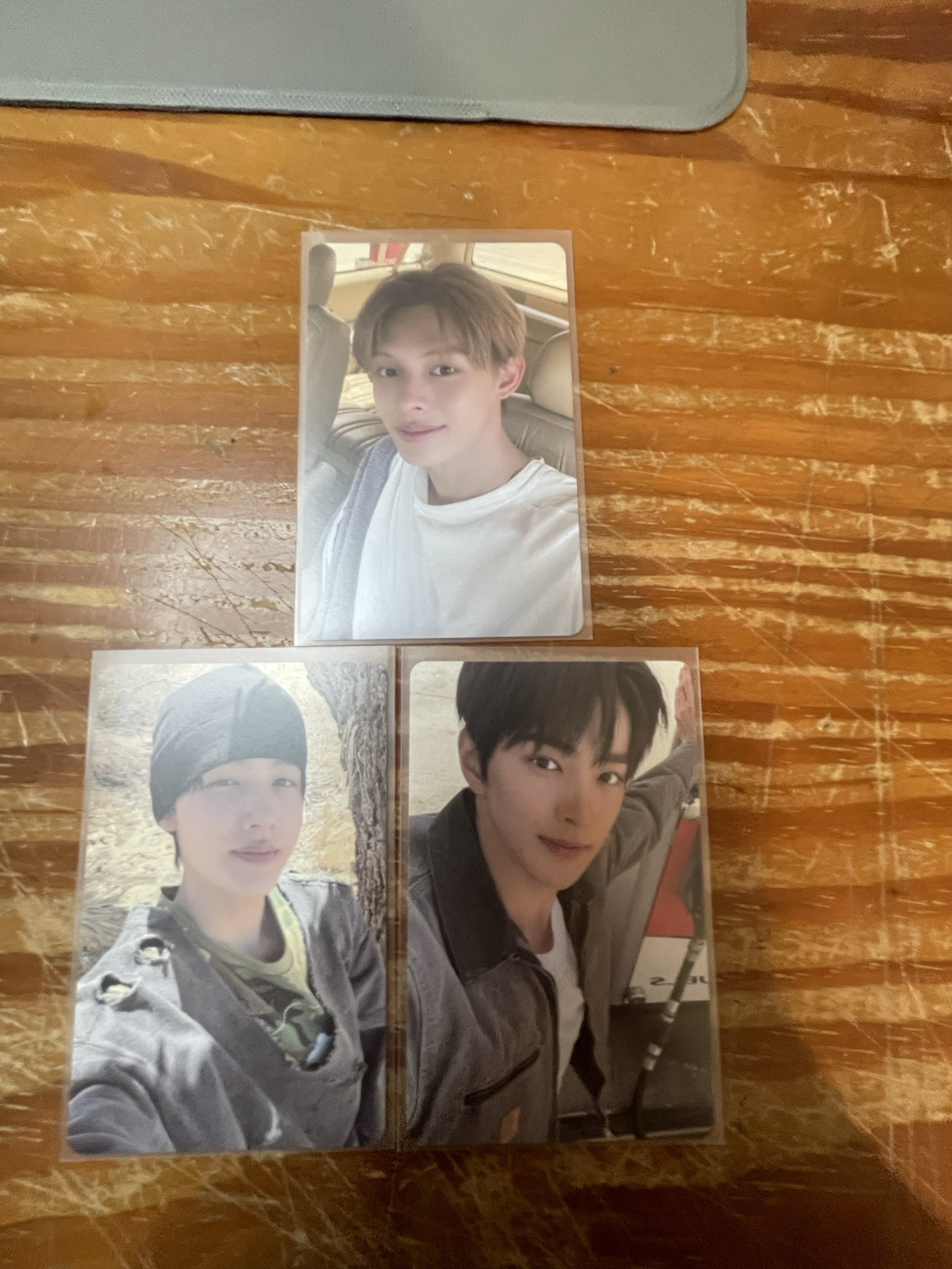 Cortis頌缽專卡（無馬丁、主訓）