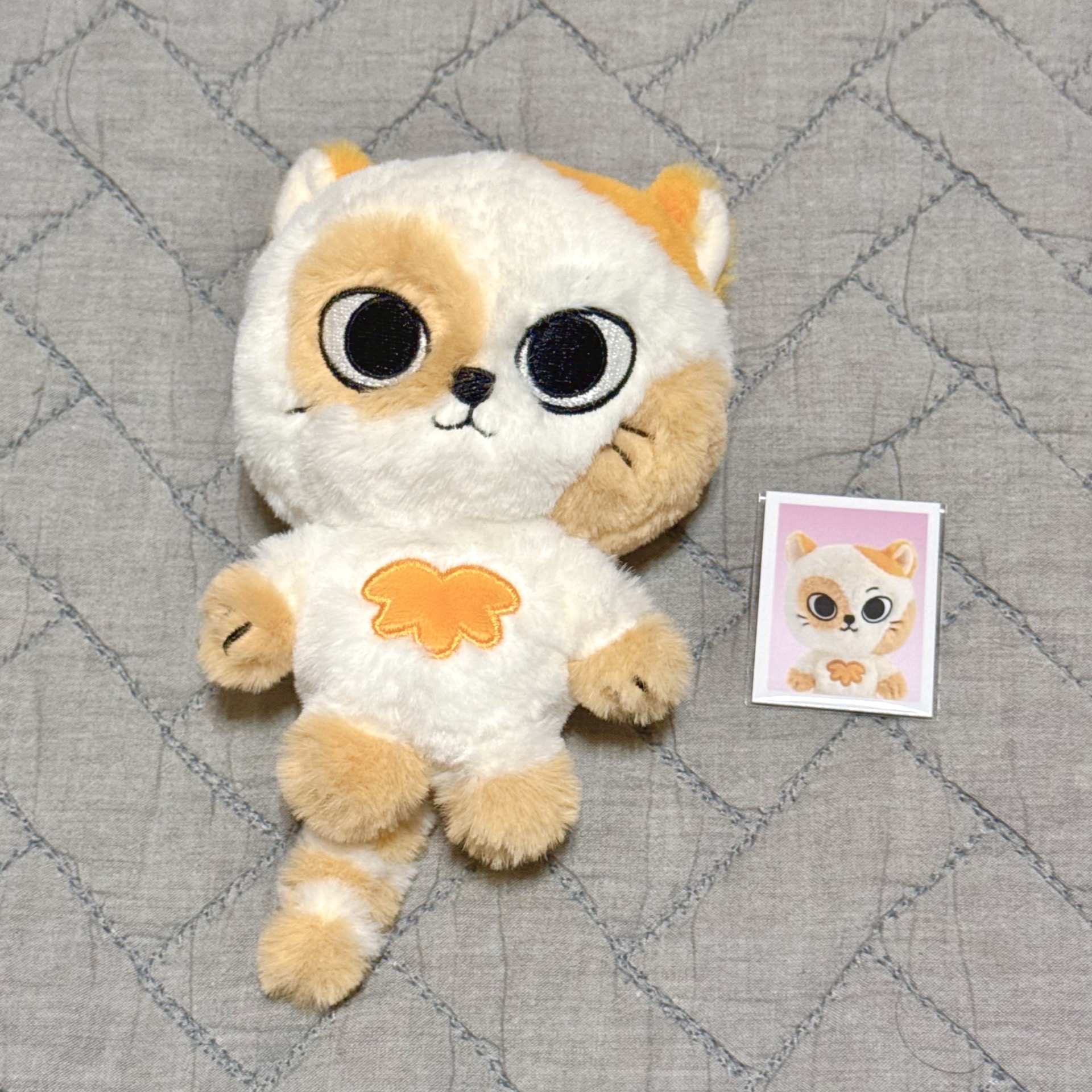 Catbbi 原皮官娃+滿額