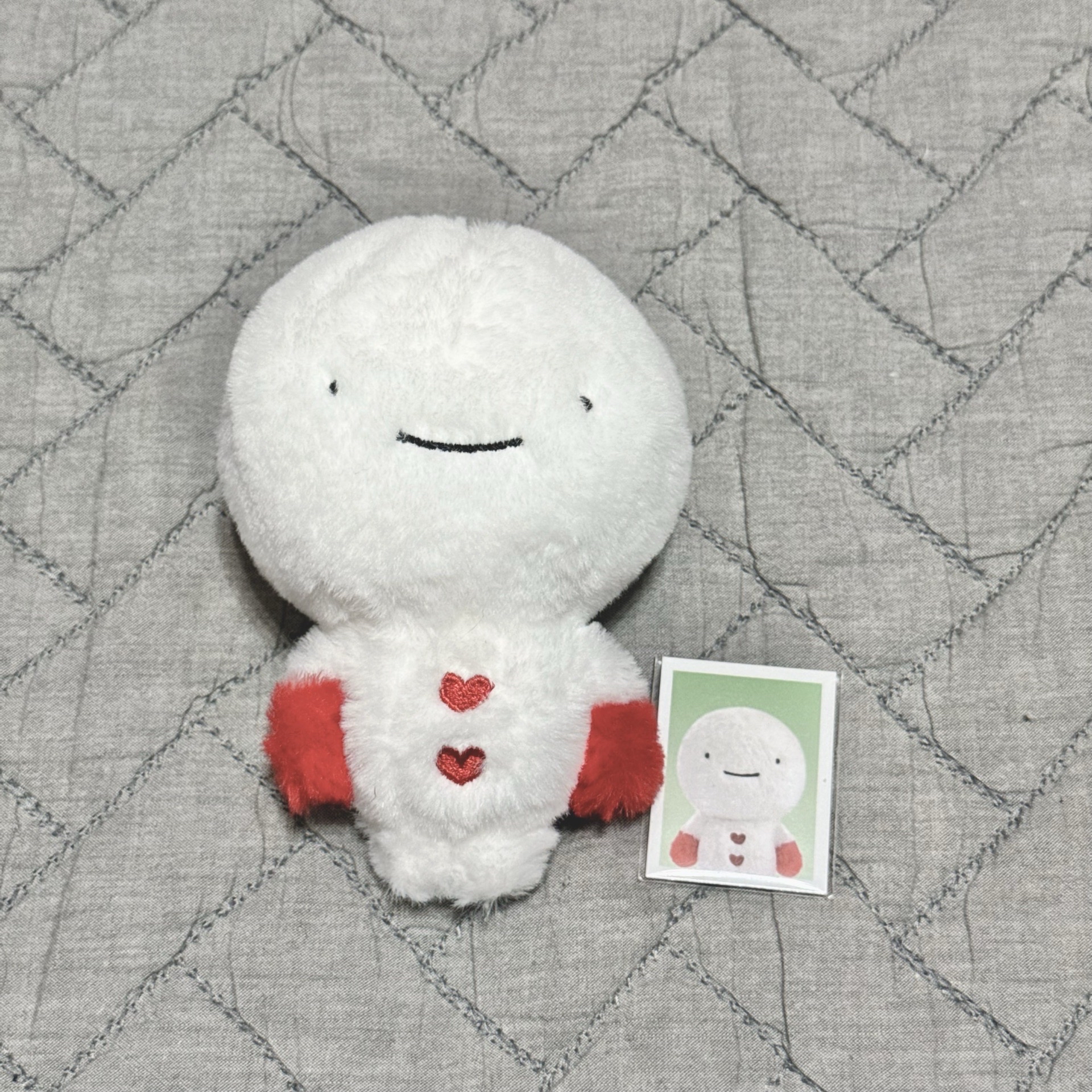 雲寶寶 原皮官娃+滿額