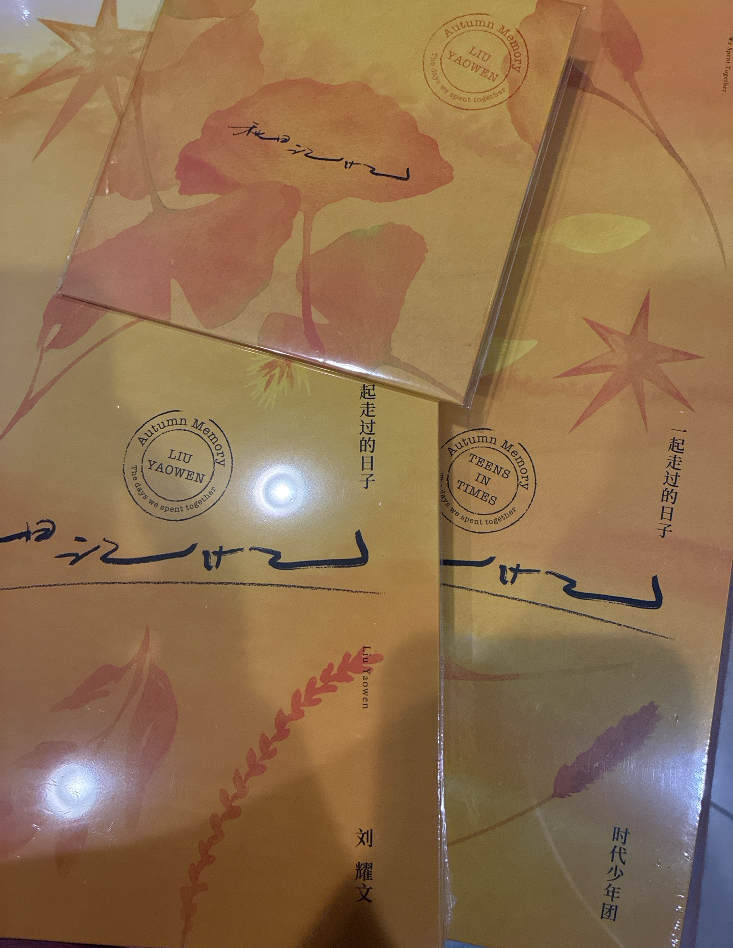 【TNT】秋日 耀文寫真+CD+團寫真