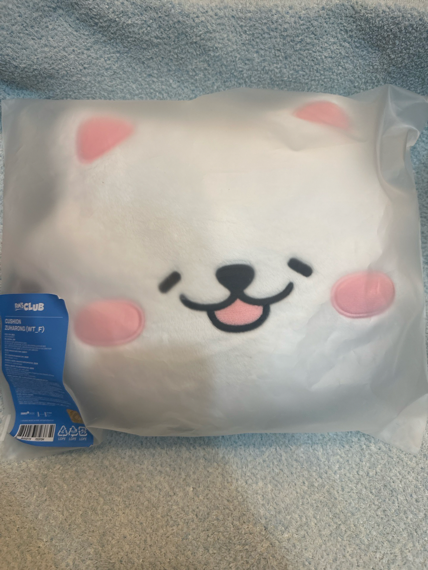 LE SSERAFIM FIM’S CLUB 抱枕 一葉 茲哈龍