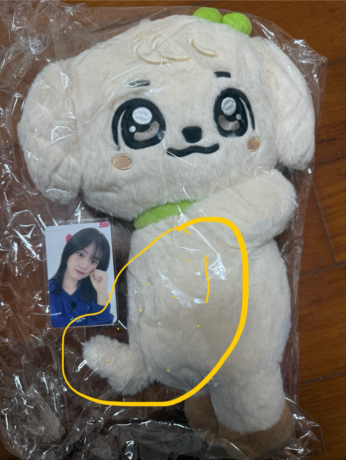 全新未拆 安側背娃+卡