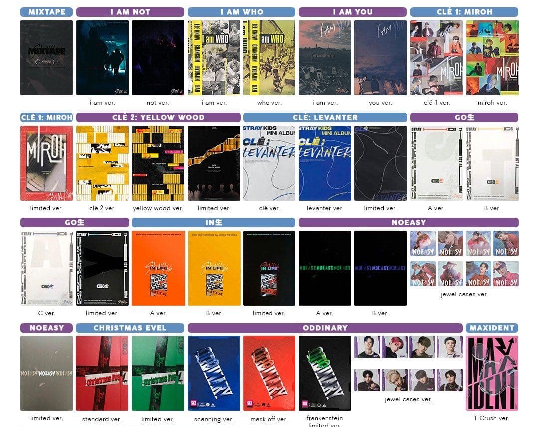 straykids各式空專