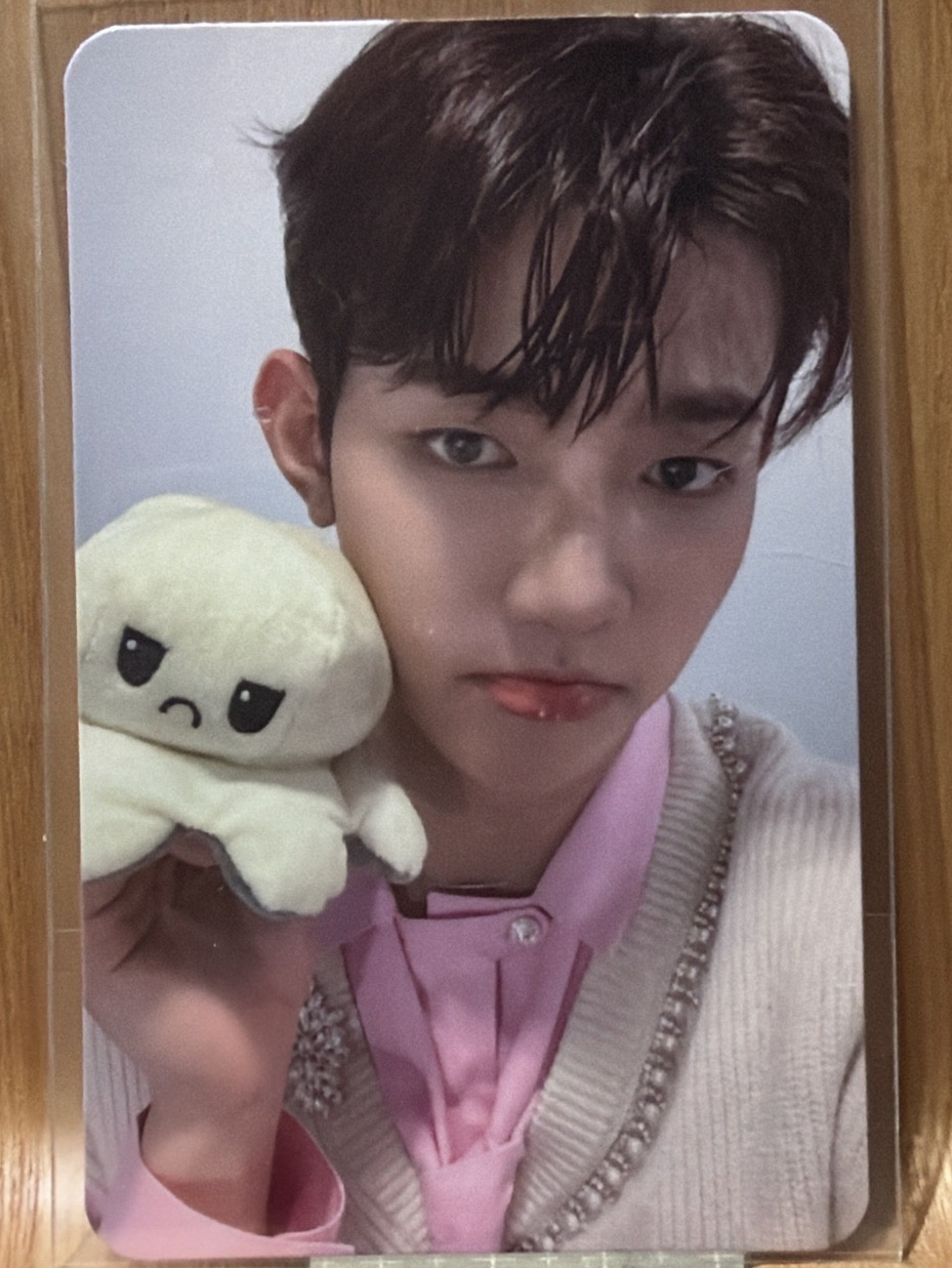 章昊 迷二 OY特典卡 憤怒章魚