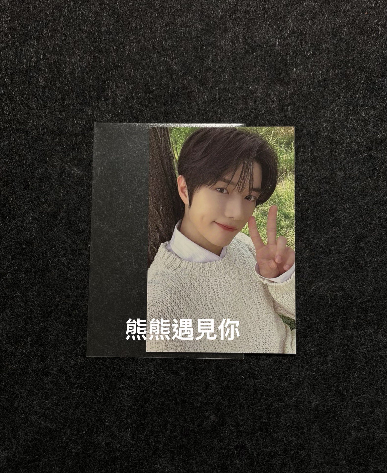 崔杋圭 台北ZONE卡