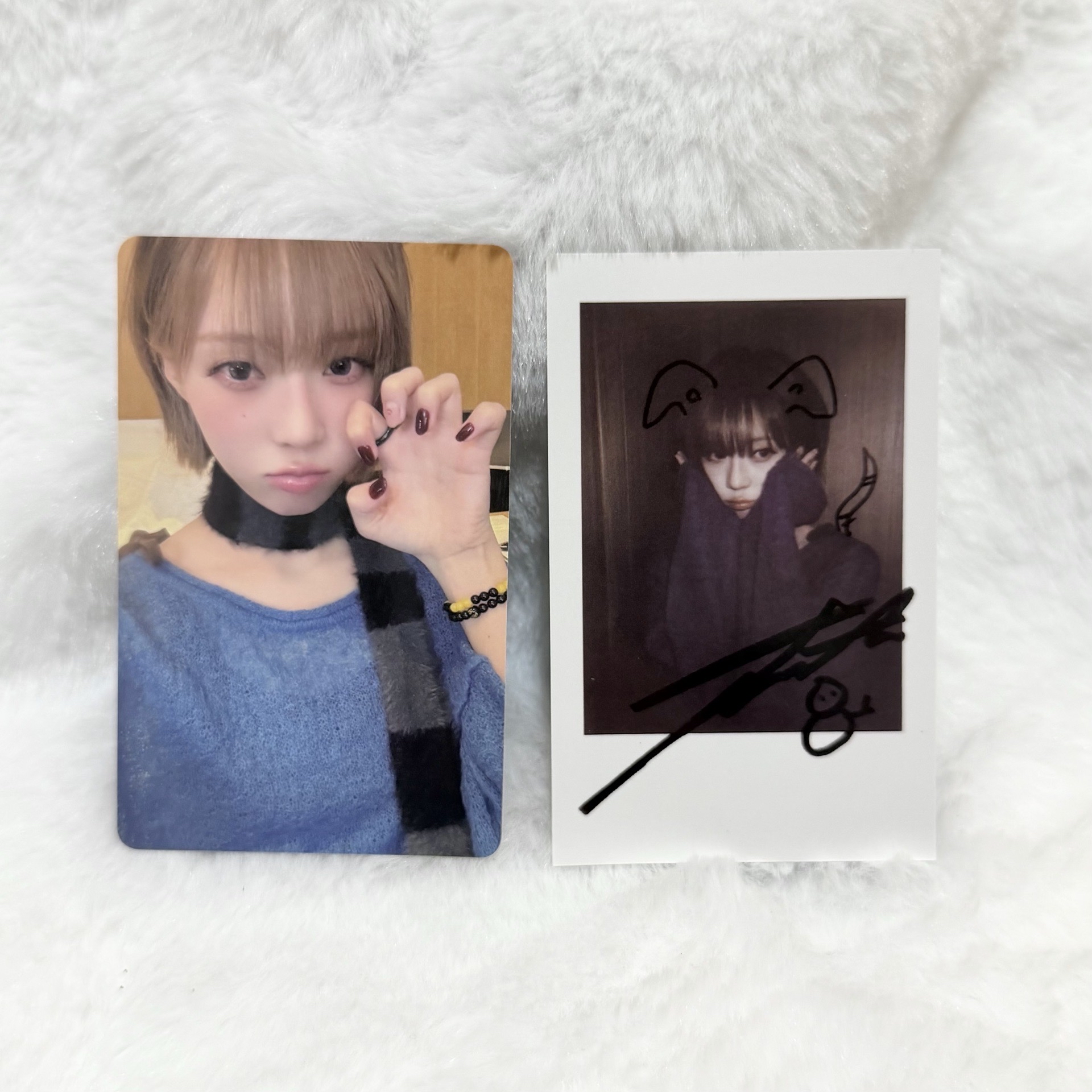 KMS上海簽售冬 一卡一拍