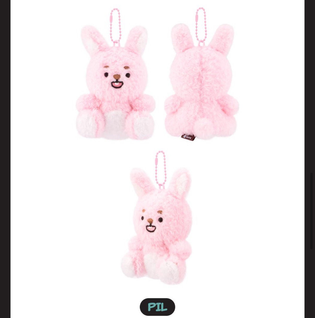 DAY6 WONPIL 필끼們 非全新無原袋 曬黑娃/坐娃/10CM/趴娃 원필🐰