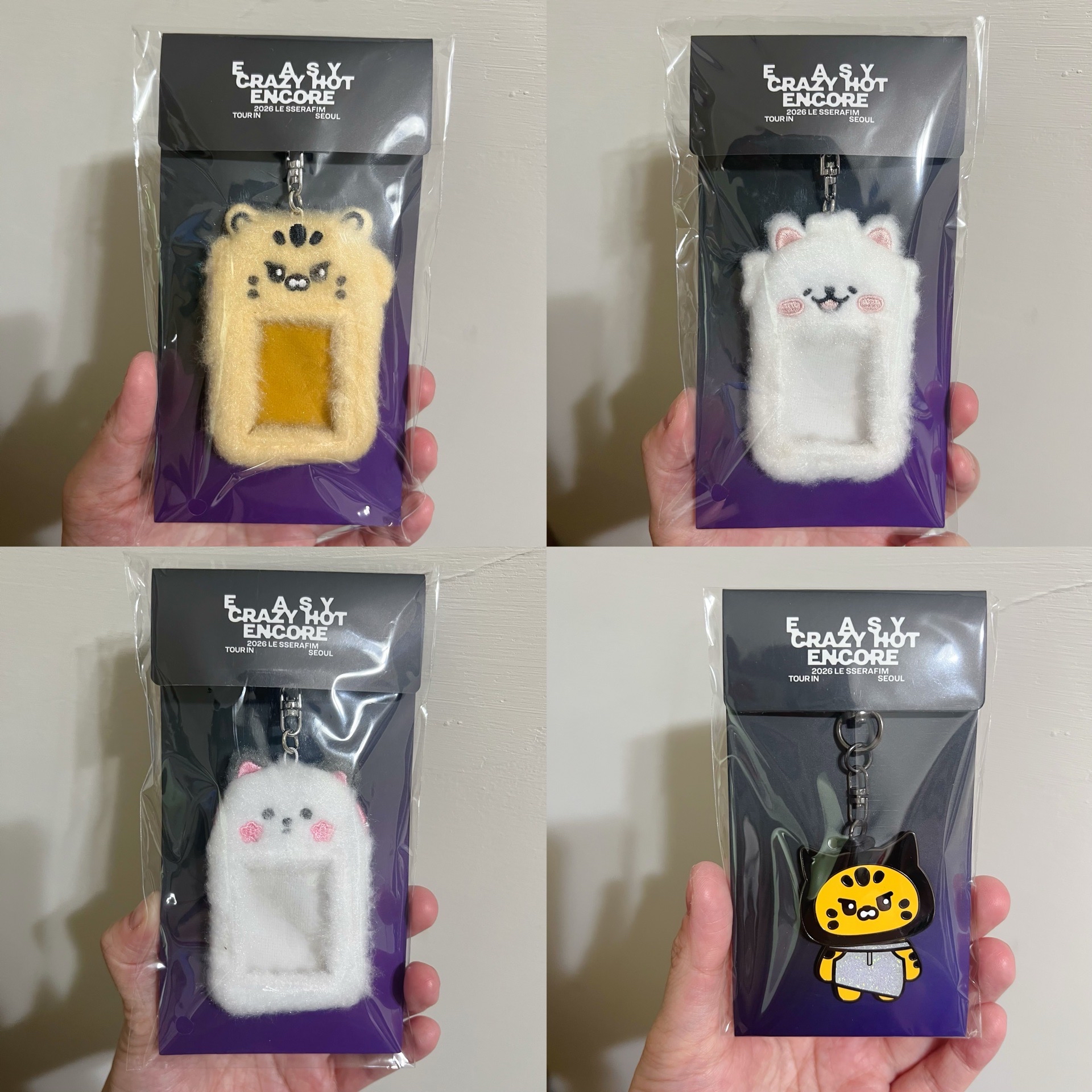 25‘巡迴 首爾安可 卡套 (組) 毛絨證件照套 金屬鑰匙圈