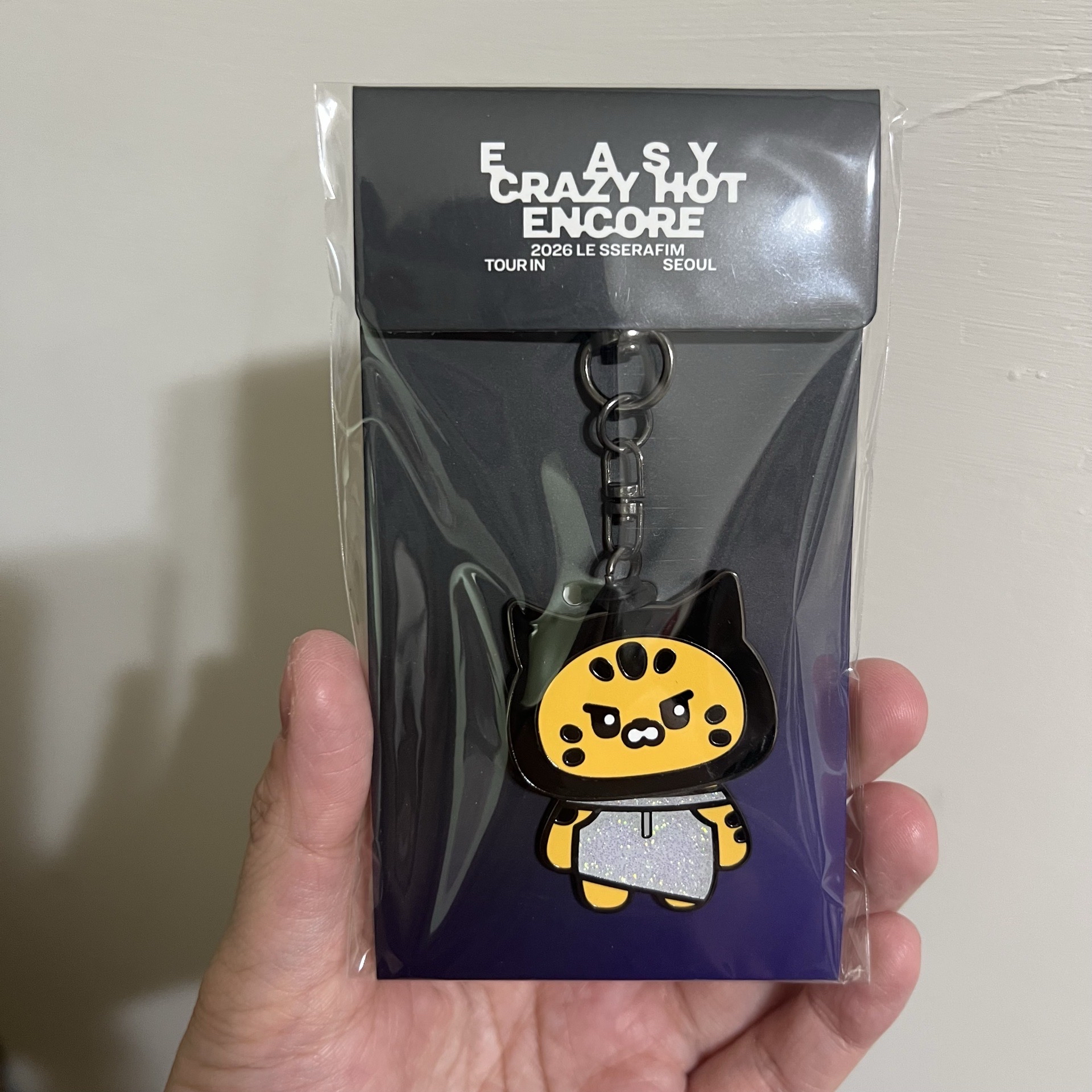 25‘巡迴 首爾安可 卡套 (組) 毛絨證件照套 金屬鑰匙圈