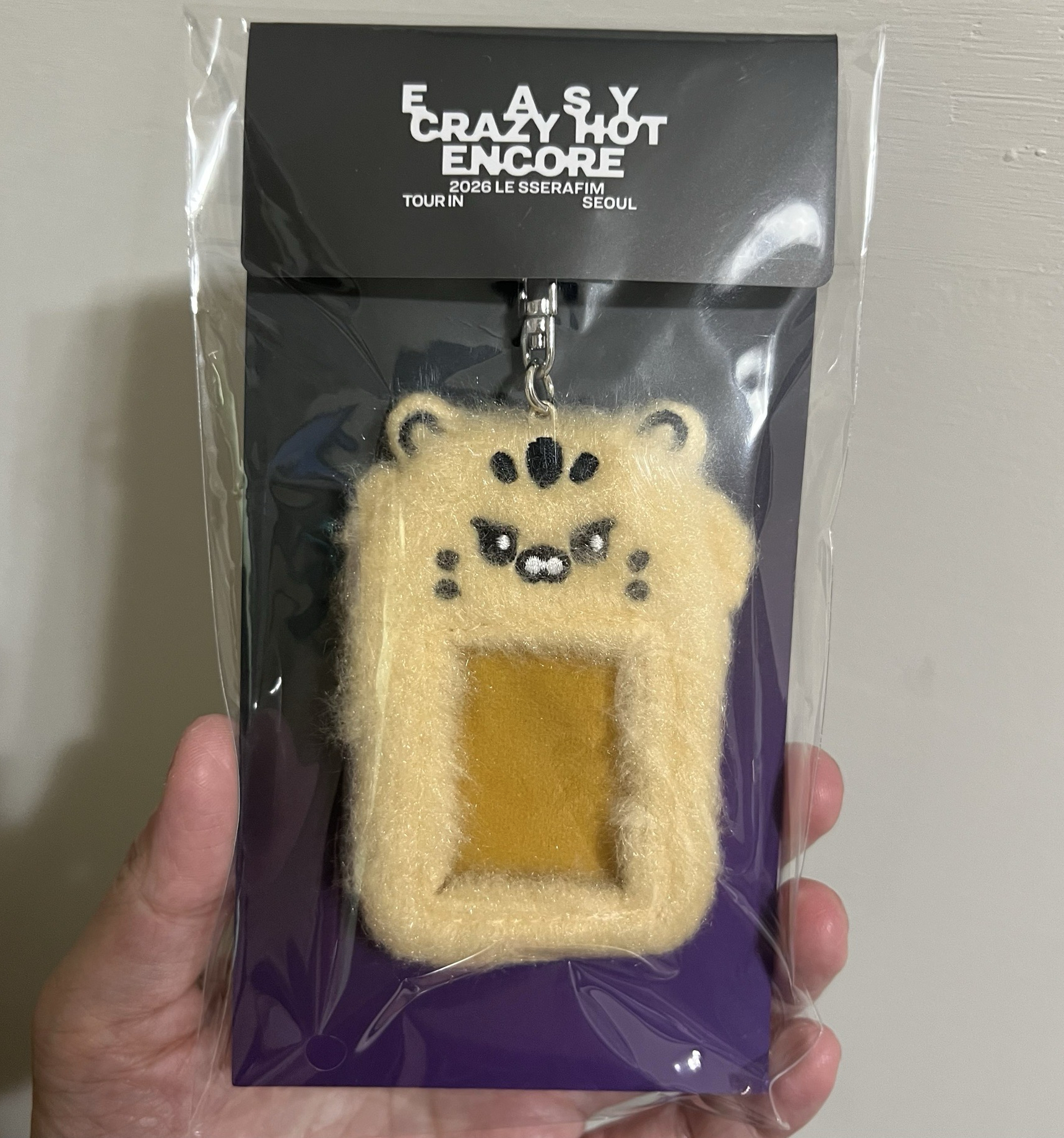 25‘巡迴 首爾安可 卡套 (組) 毛絨證件照套 金屬鑰匙圈