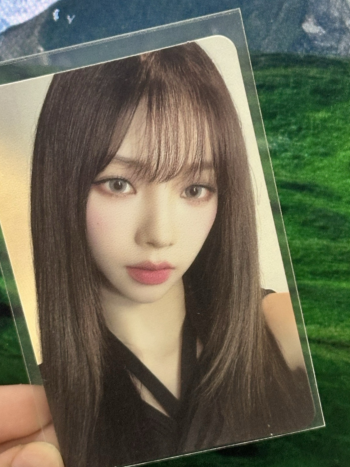 再次開除好價柚