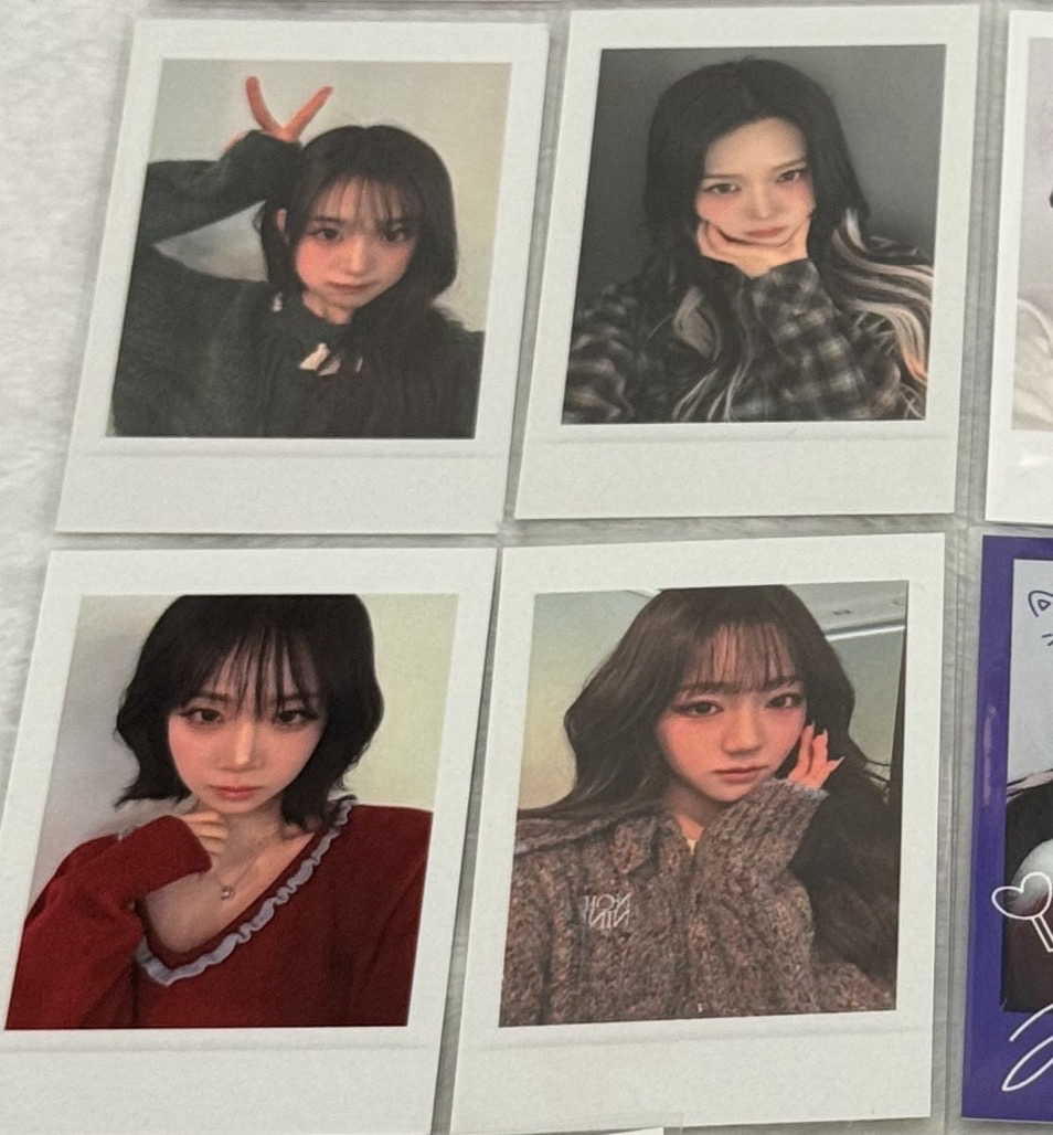 msnz am2.0線下簽售特典卡