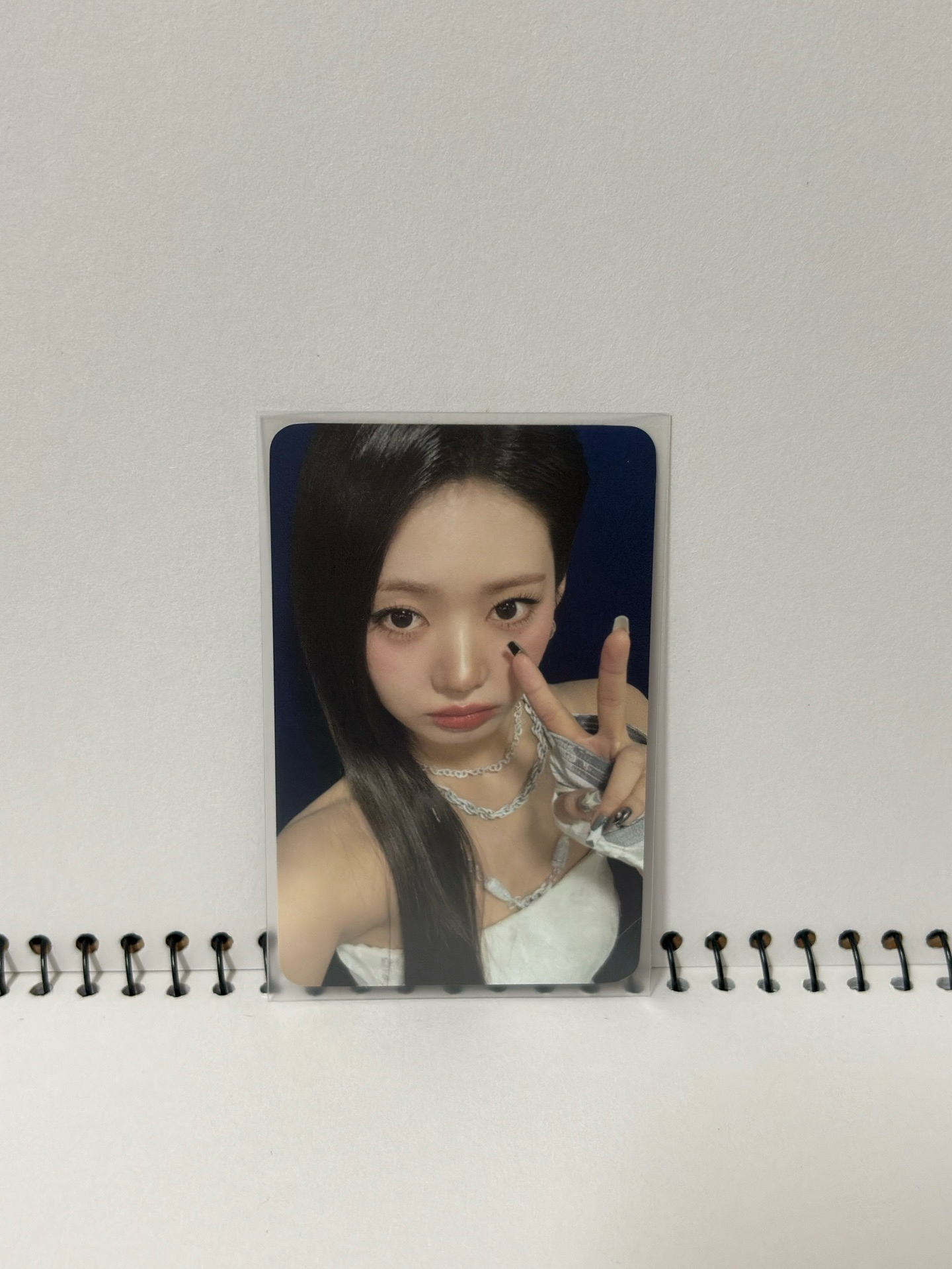 二週年 會員卡茶 現貨