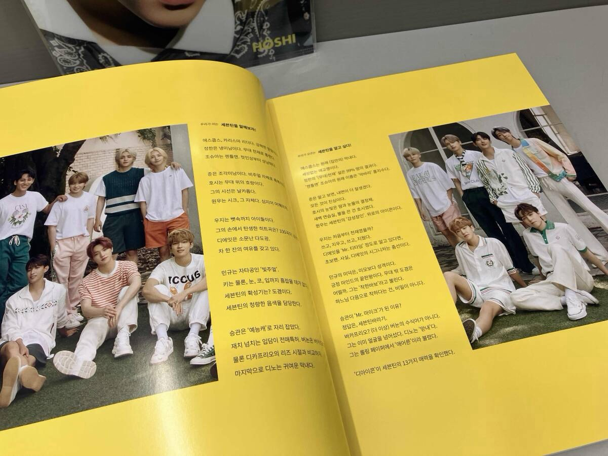 (現貨）seventeen 日版封面 dicon hoshi 抱熊榮 含特典資料夾