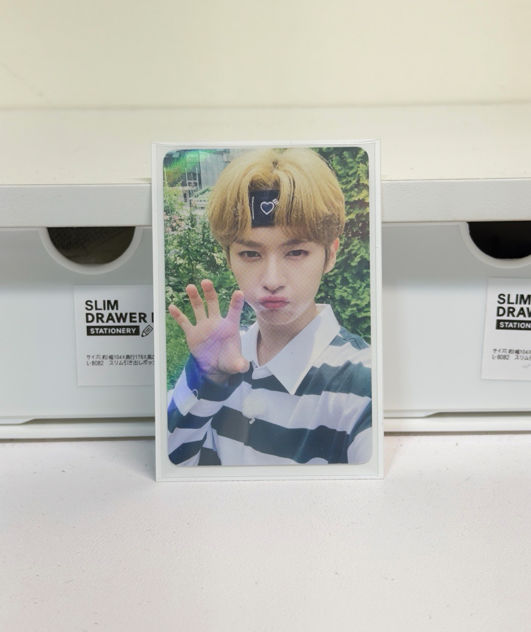 毛爪糯 （卡背損）