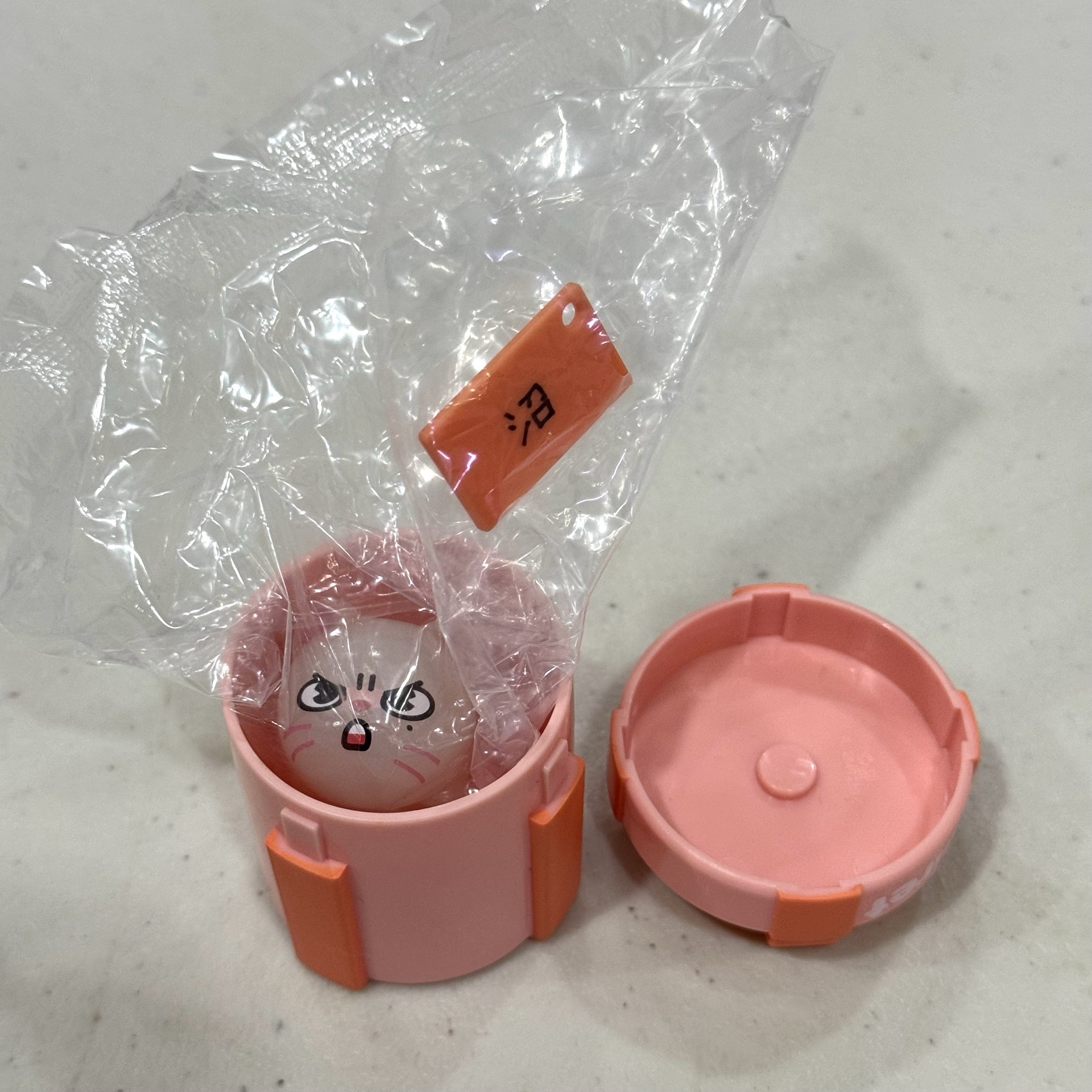 辰 寅 生日扭蛋