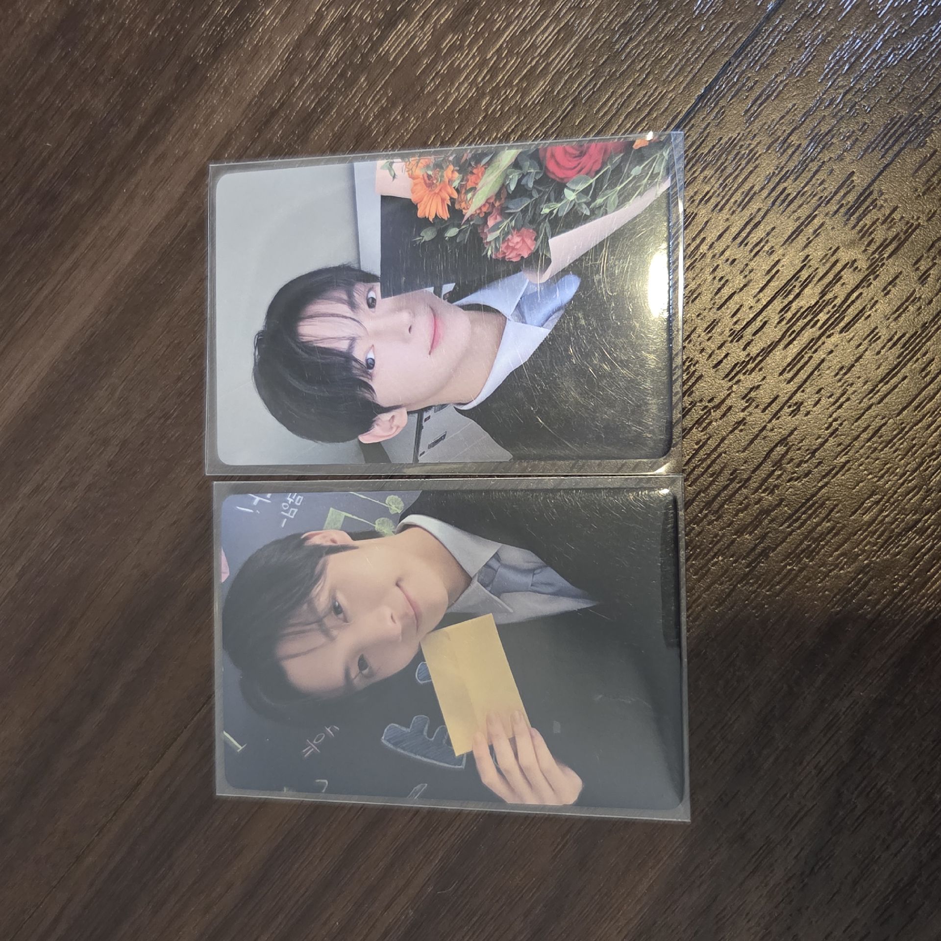 TWS 英宰 韓振 yzy 聖誕卡背