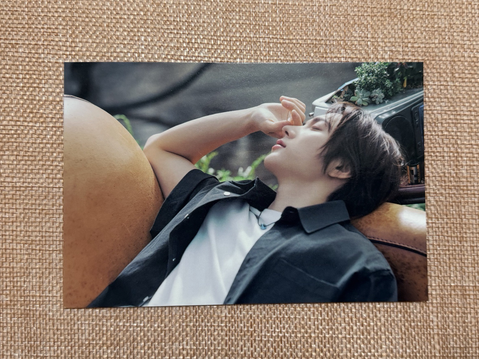 성호