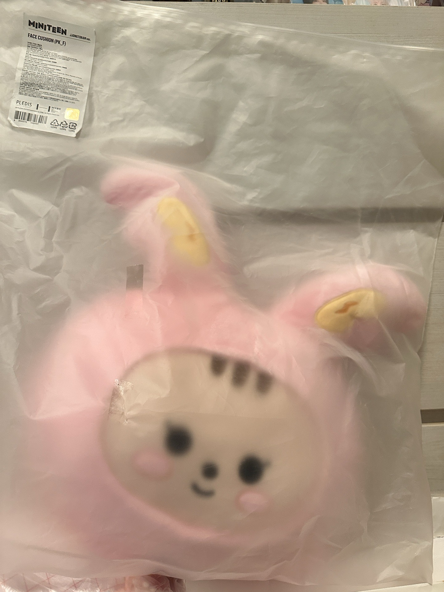 SEVENTEEN MINITEEN 抱枕 兔拉米 淨漢