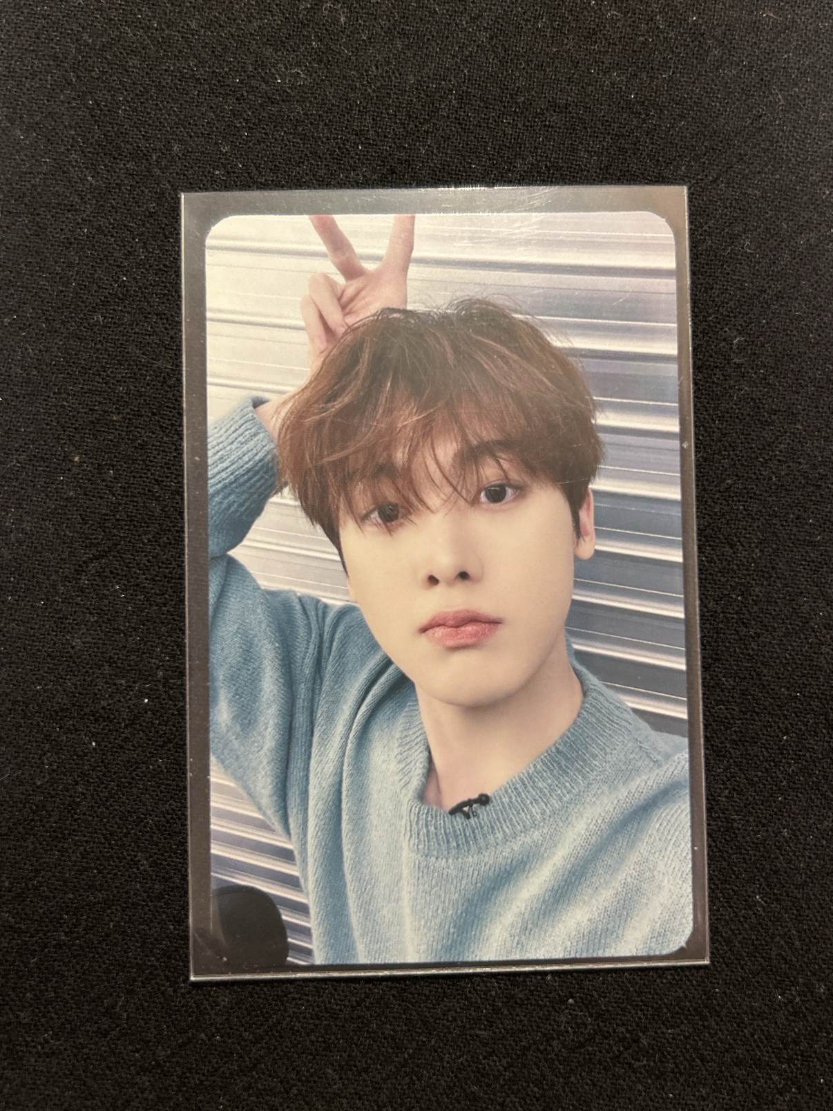 產賀 花生迷二 wonderwall 1.0 簽售卡 