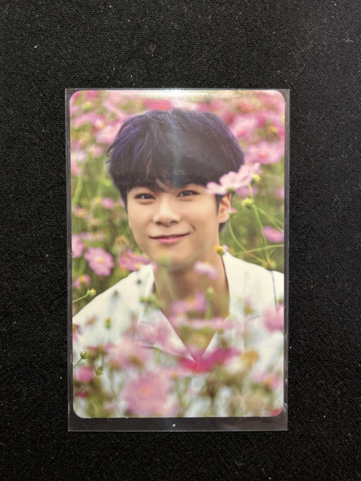 文彬 夢二 專輯卡 Wind ver.