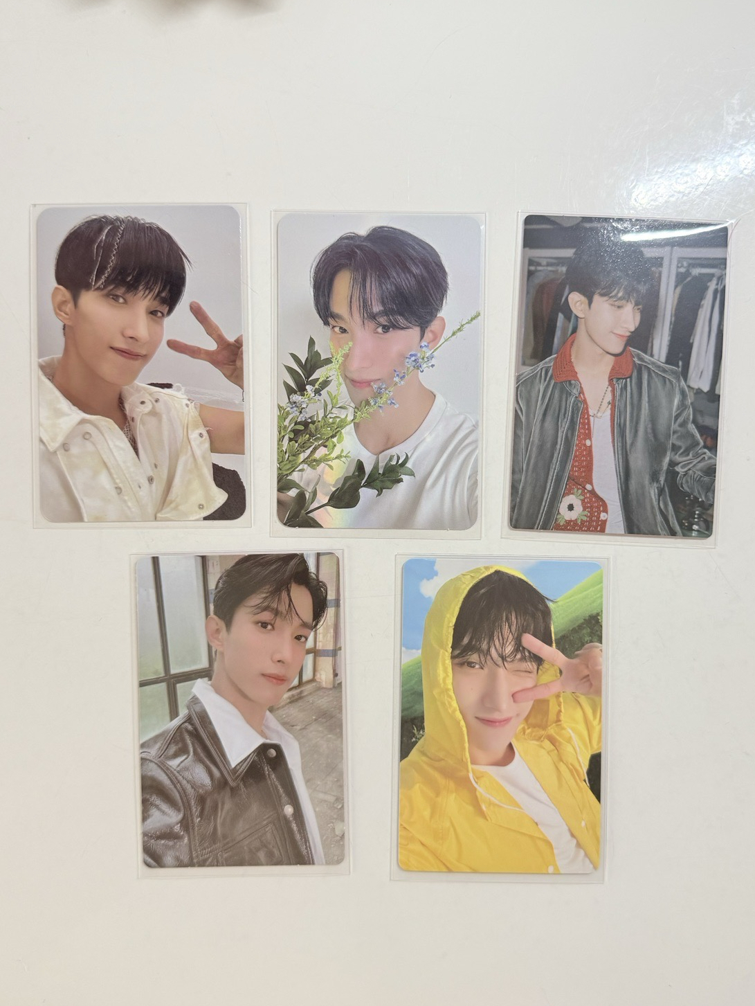 碩 專卡🍕₊˚.⋆·ฺ.⁺˚