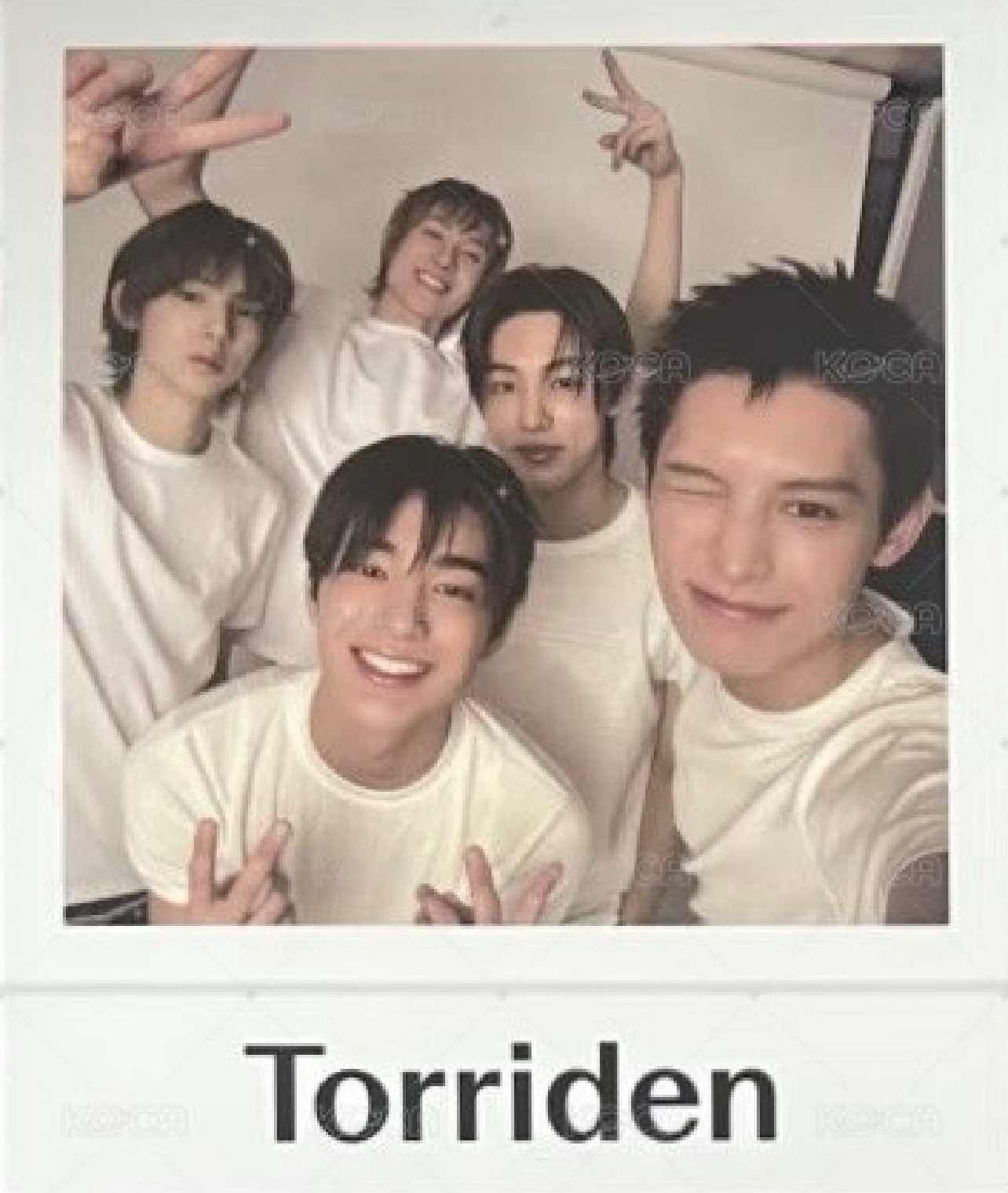 韓版Torriden小卡一套未拆