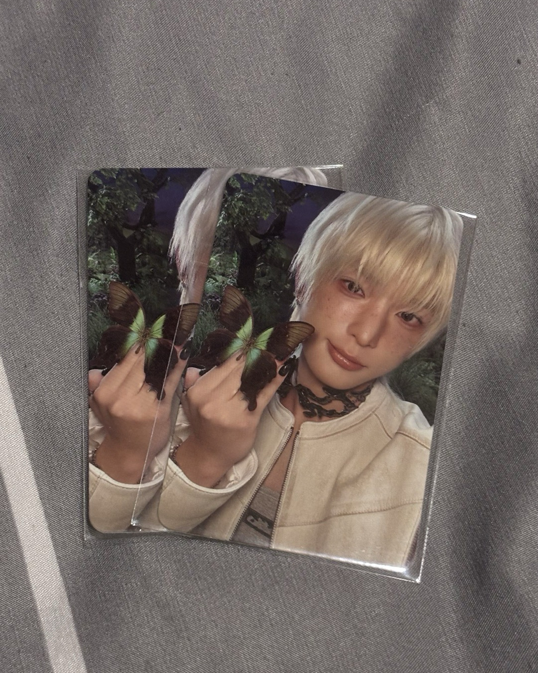 ✅&TEAM Harua專卡