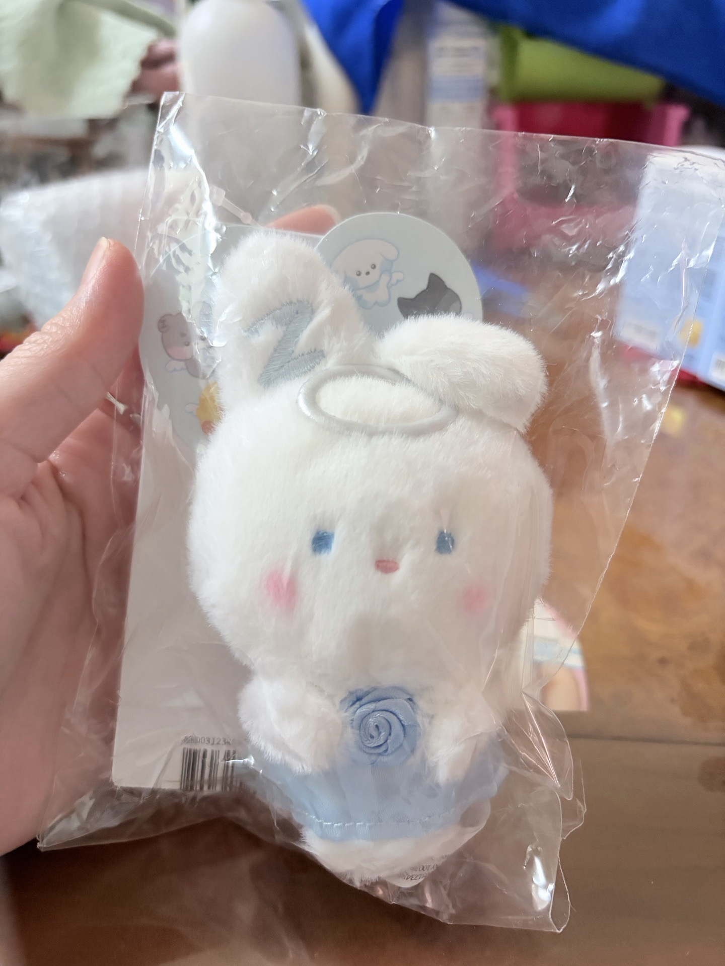 韓維辰 天使吊娃