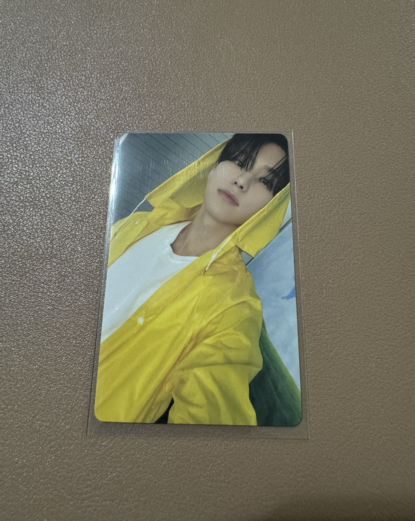 SVT HOSHI 順榮 迷11克拉盤