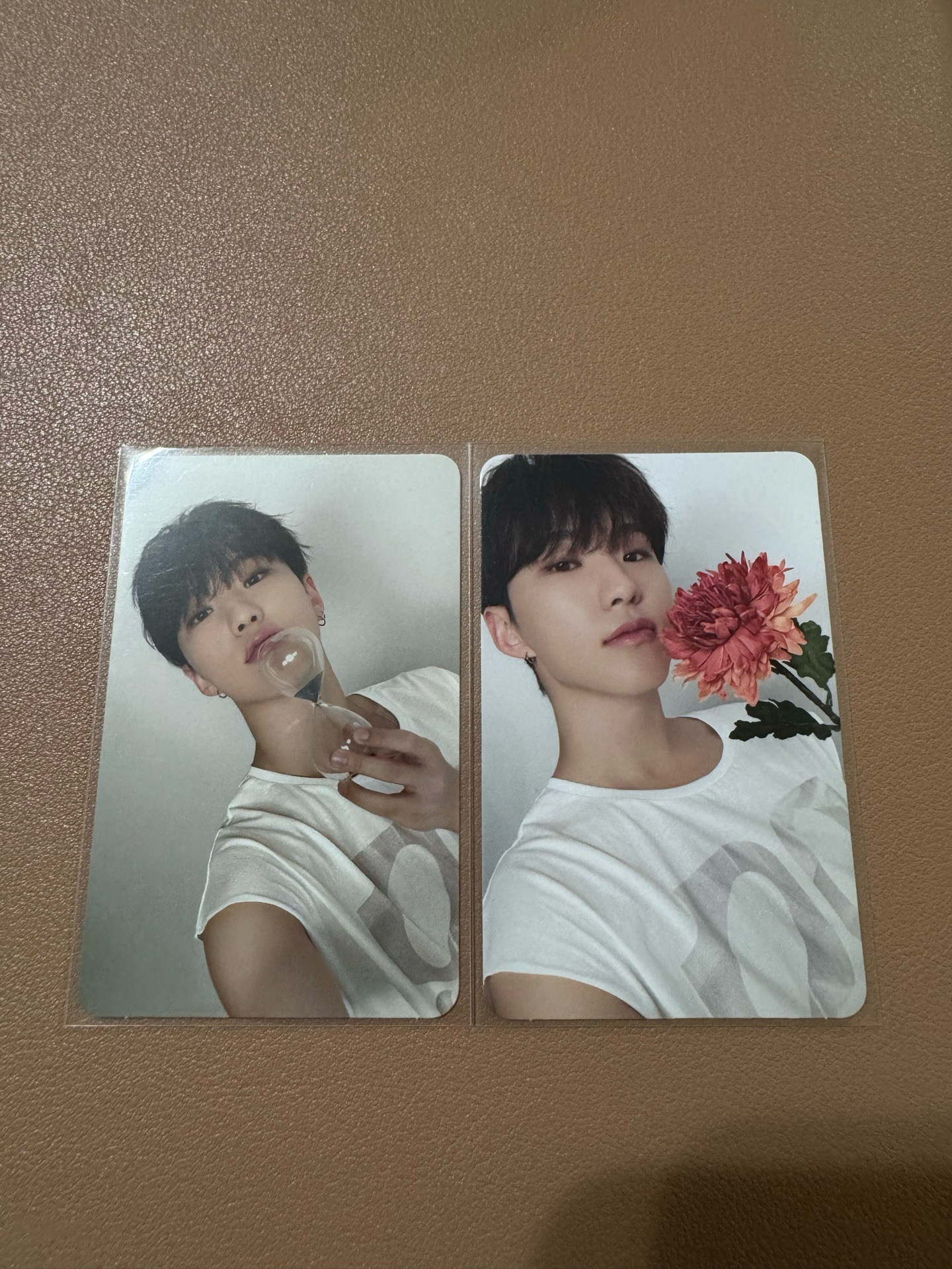 SVT HOSHI 順榮 精選專克拉盤