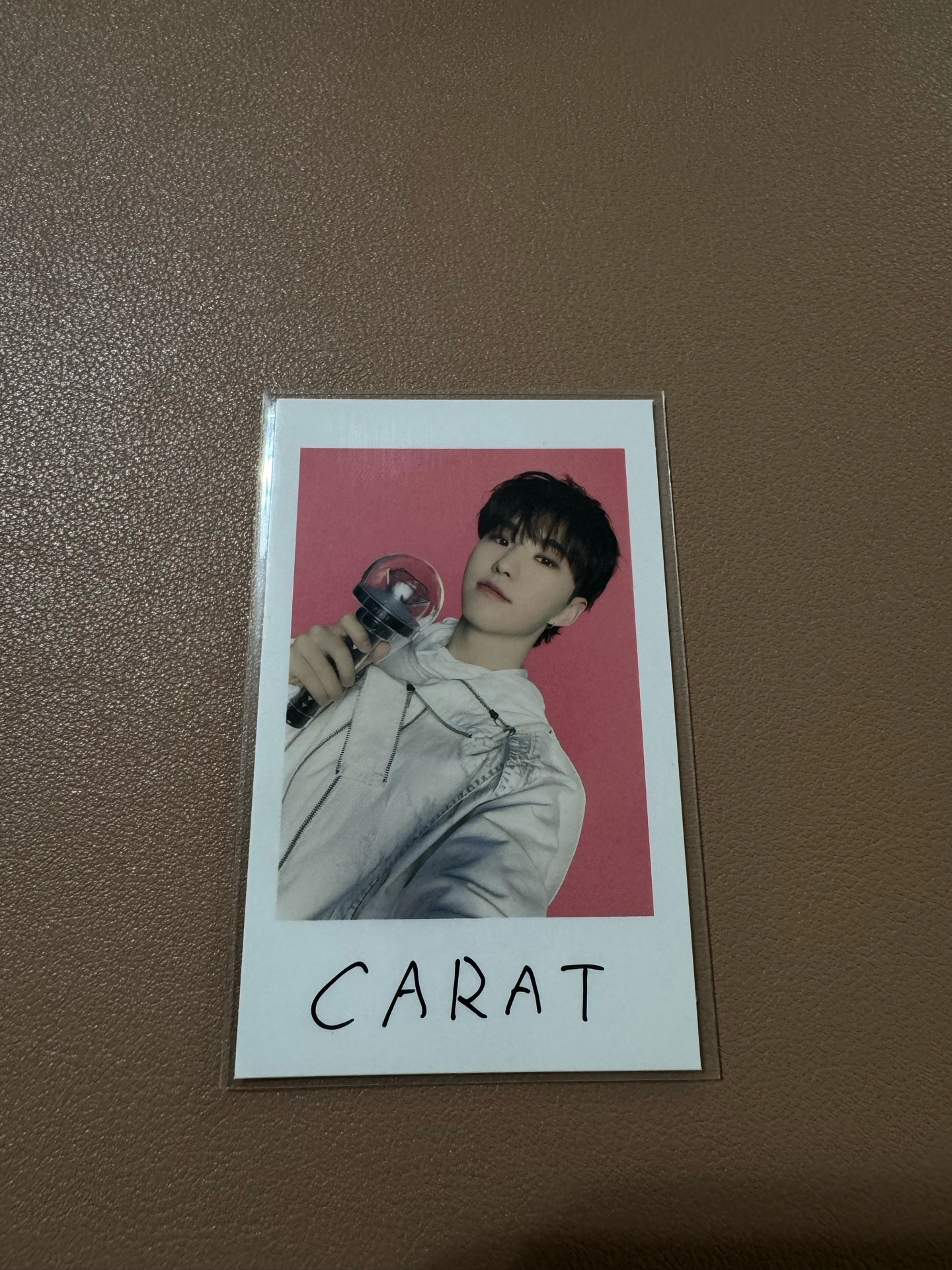 SVT HOSHI 順榮 Follow Again to Japan 拍立得