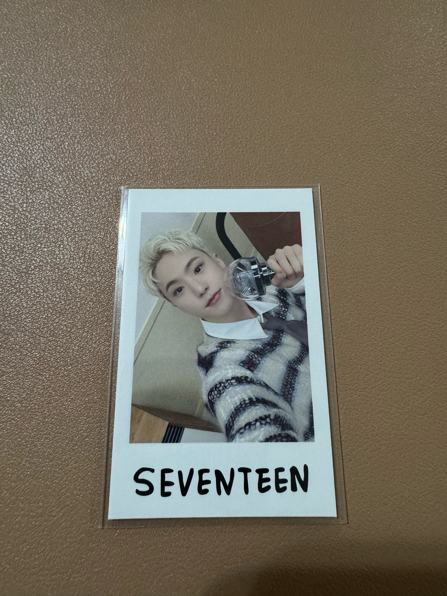 SVT HOSHI 順榮 Holiday 拍立得