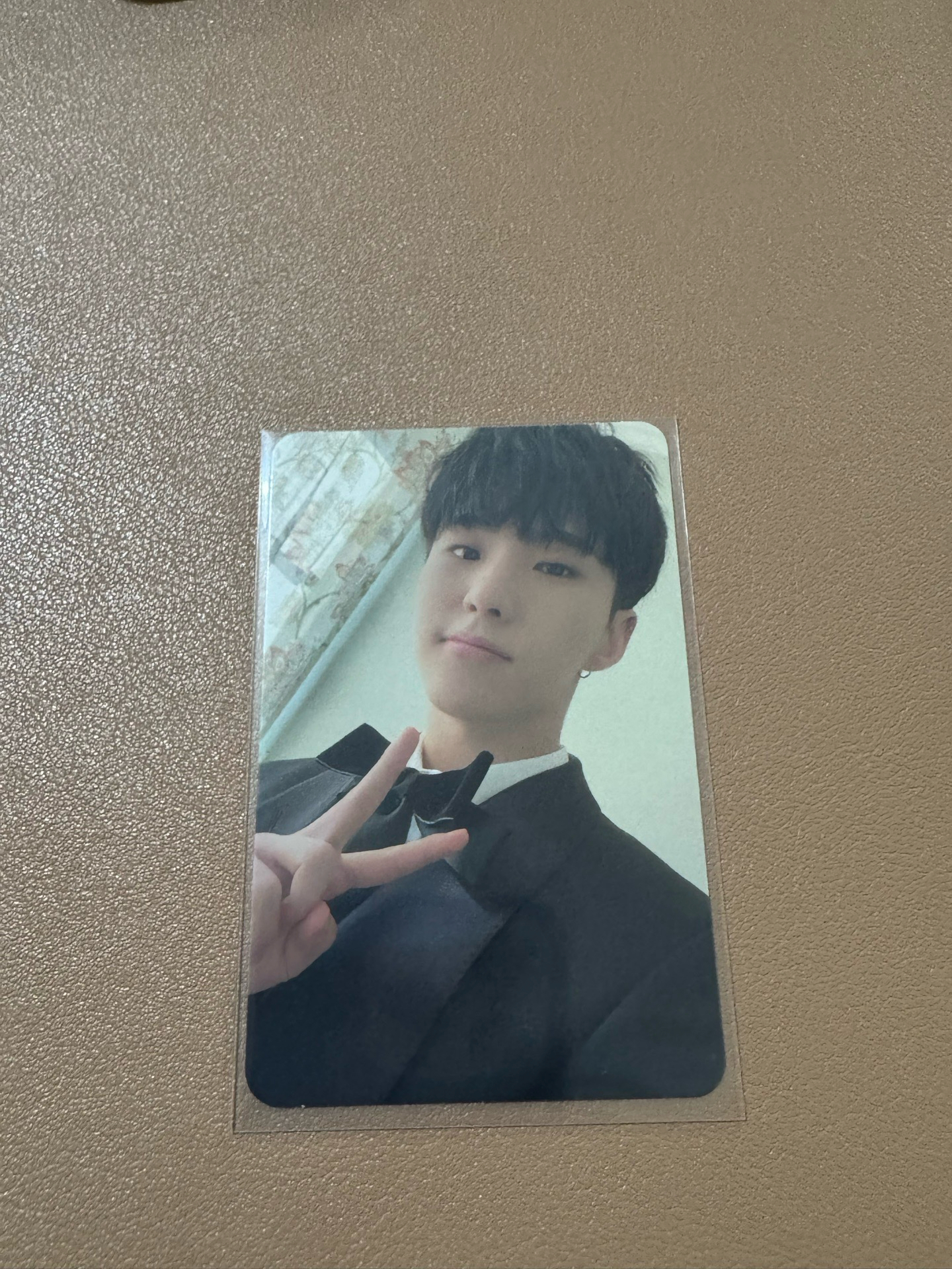 SVT HOSHI 順榮 迷10