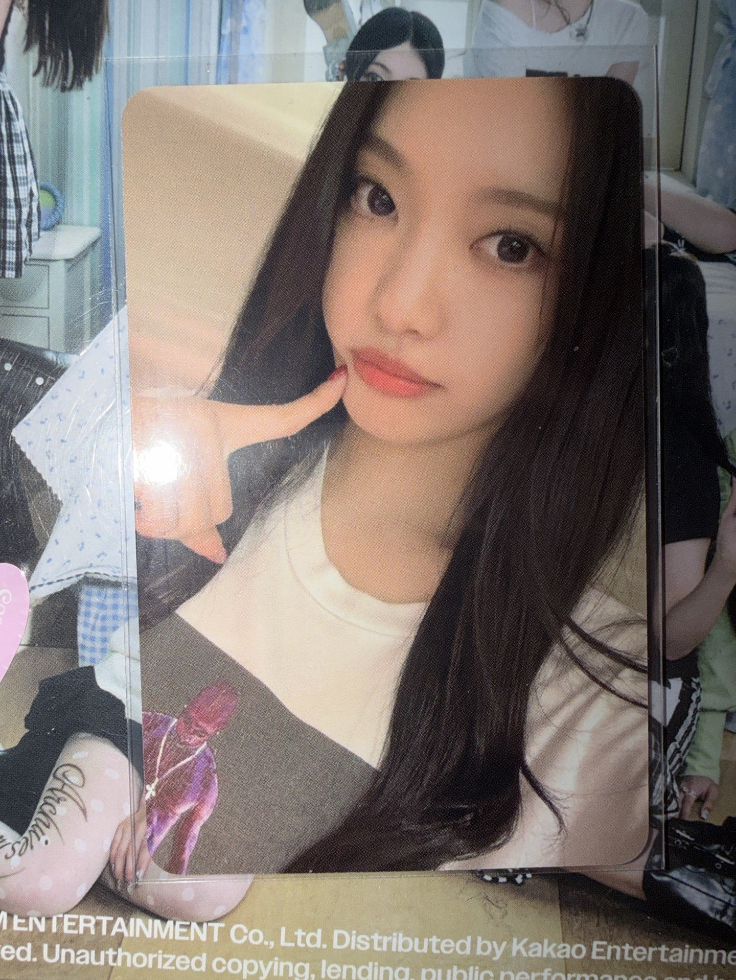 寧藝卓 星河簽售