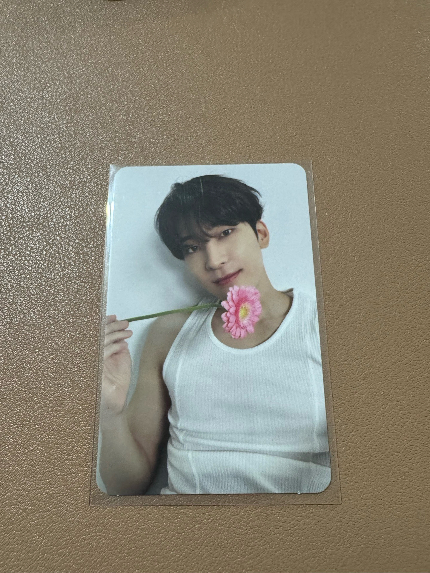 SVT WONWOO 圓佑 精選專克拉盤