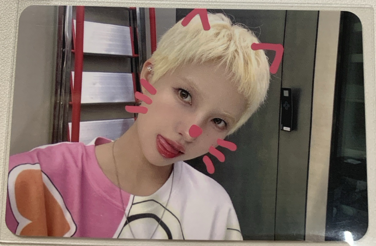 We are ms 5.0 幸運卡 