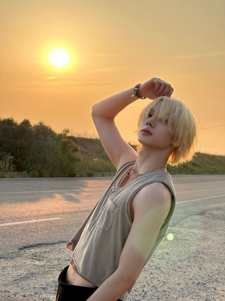 보도도