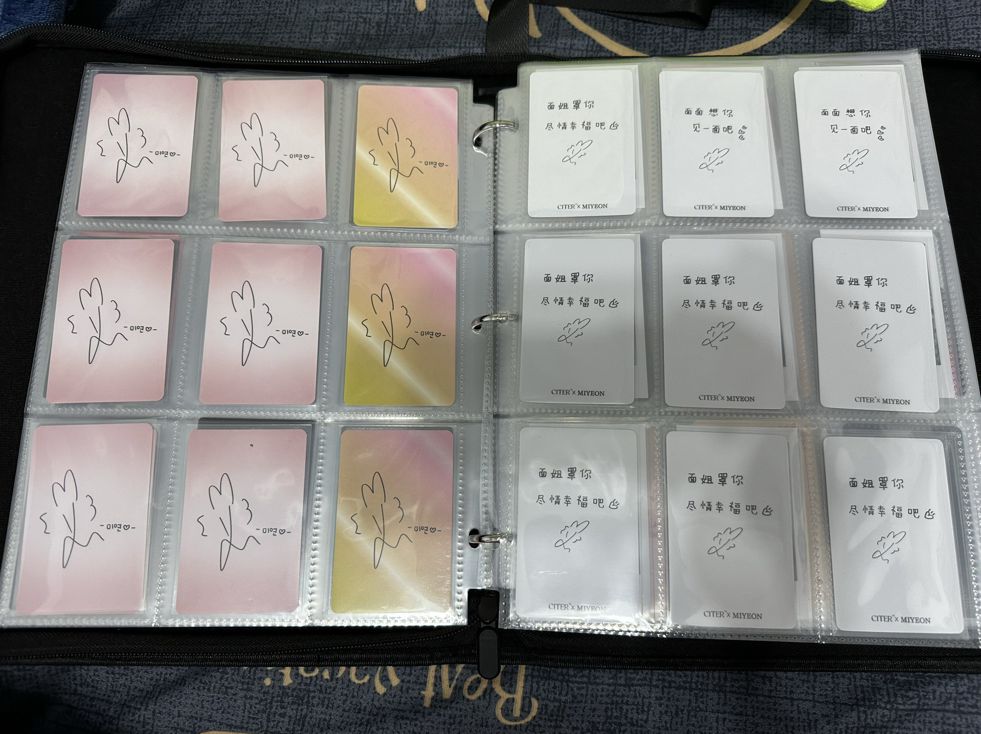 注意‼️卡冊其餘物1，僅供想大盤收，全收者