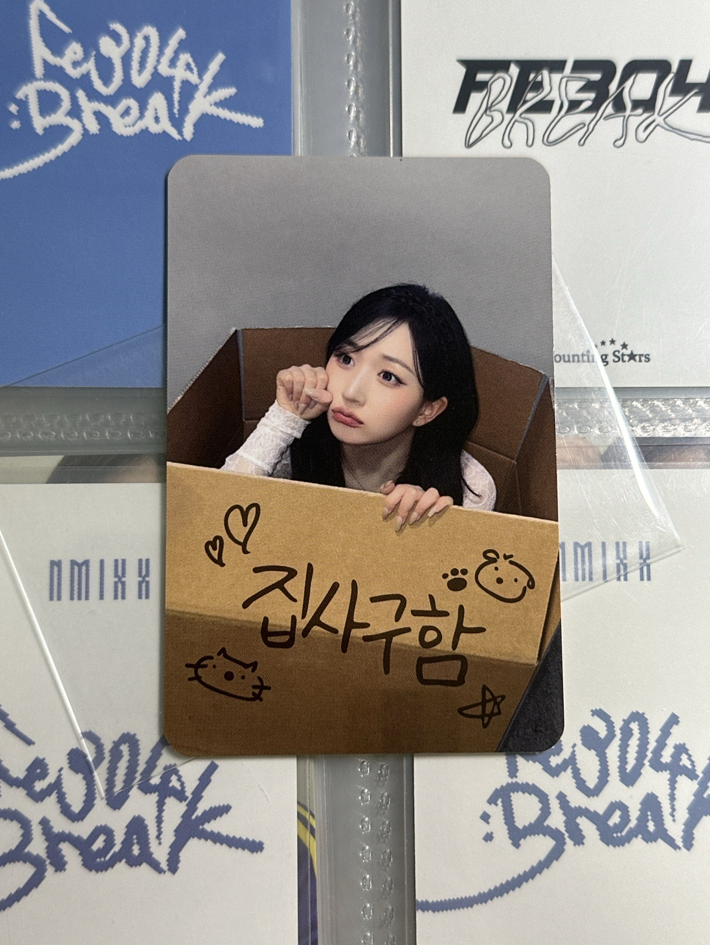 NMIXX ms鏟屎官嫄