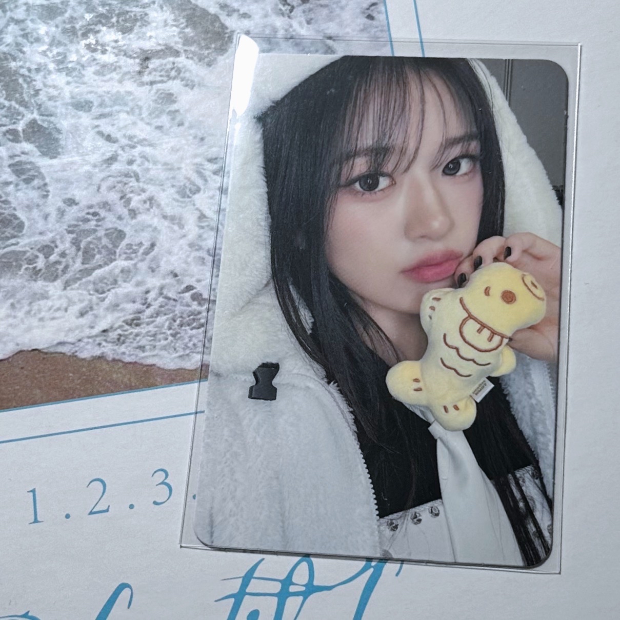 YUJIN SECRET HL鯛魚燒安