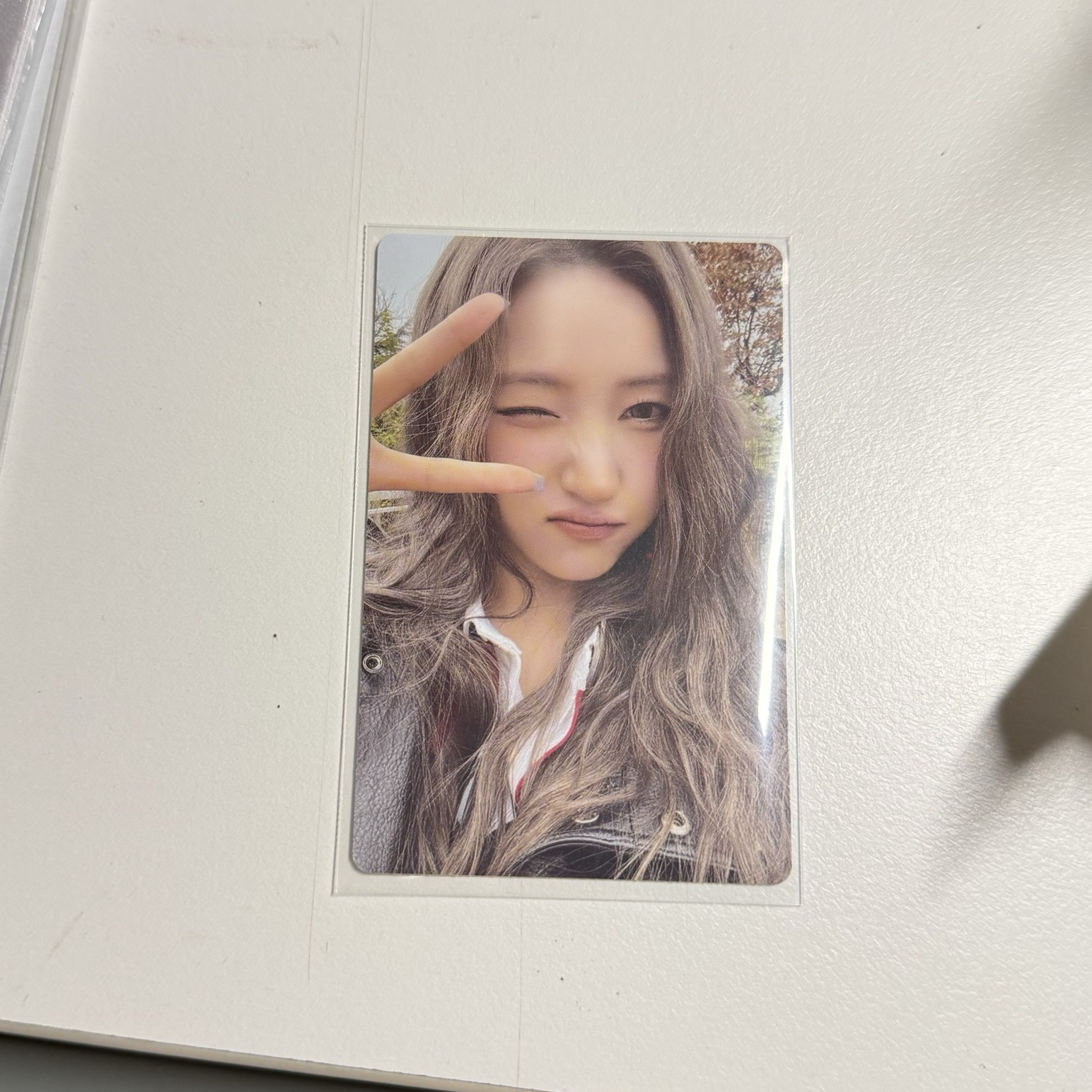 十週年 專卡 腿隊