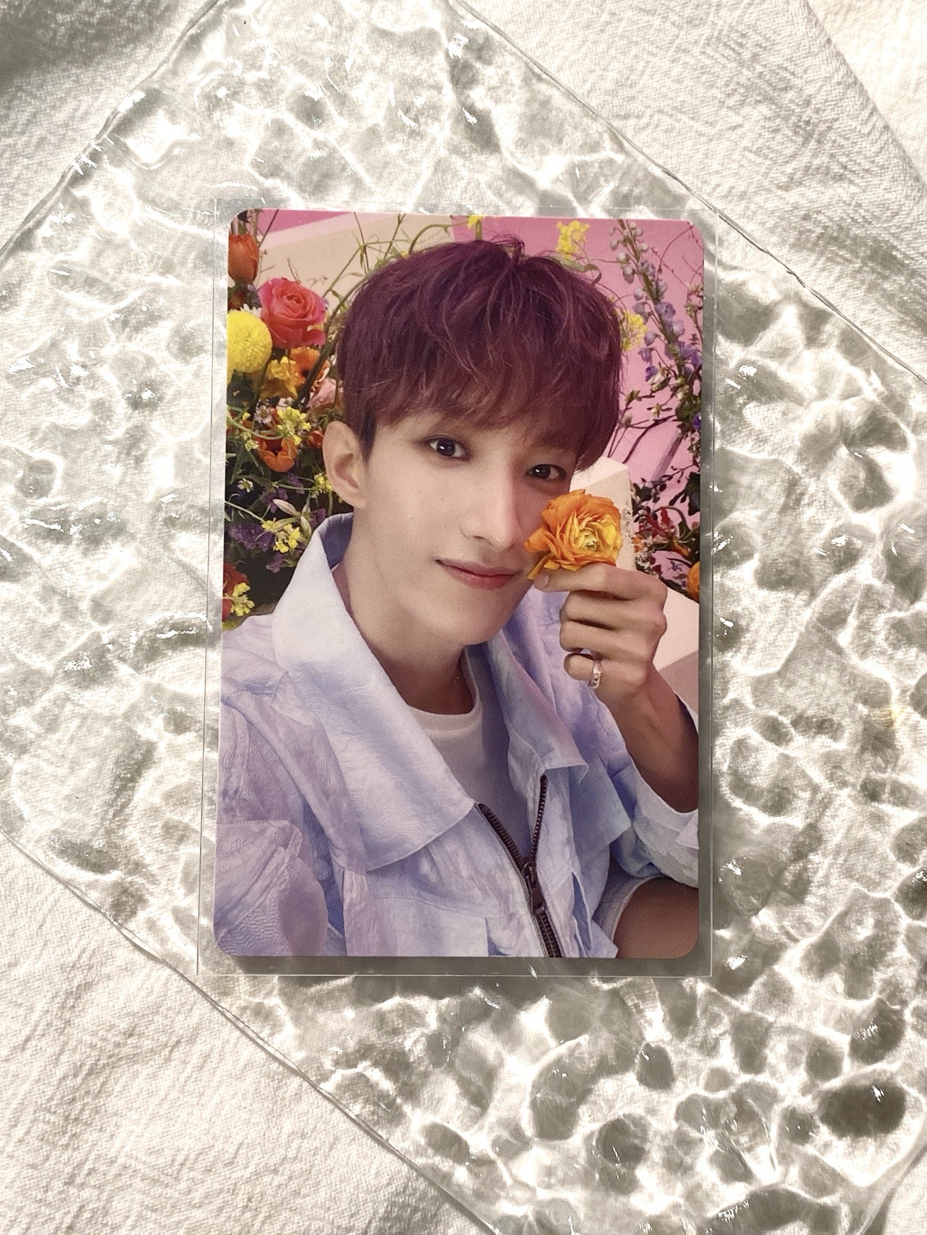 🎀Always yours A盤碩專卡