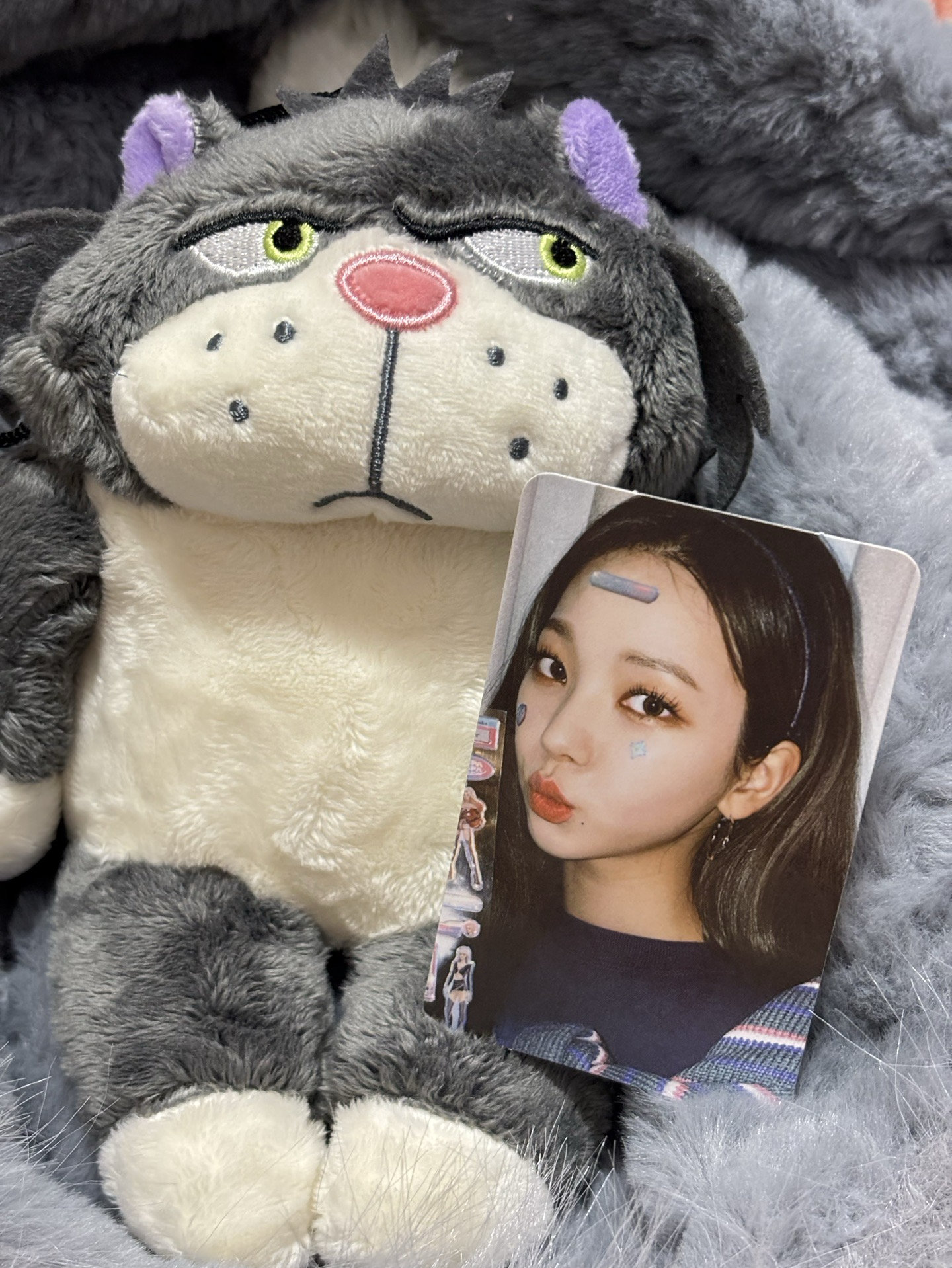 Black Mamba 周邊卡 貼紙柚